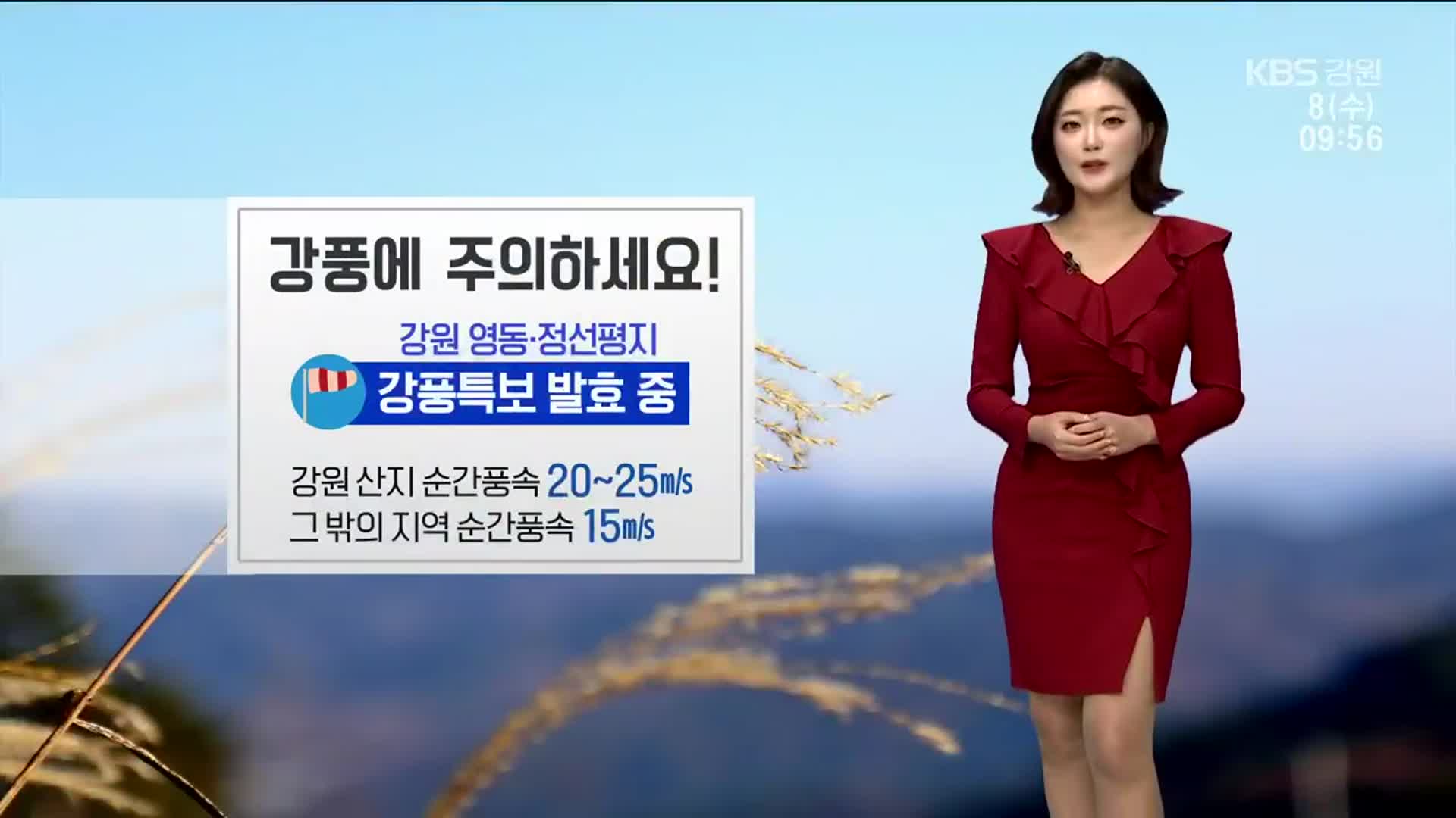 [날씨] 강원 영동·정선평지 강풍특보…오후부터 빗방울
