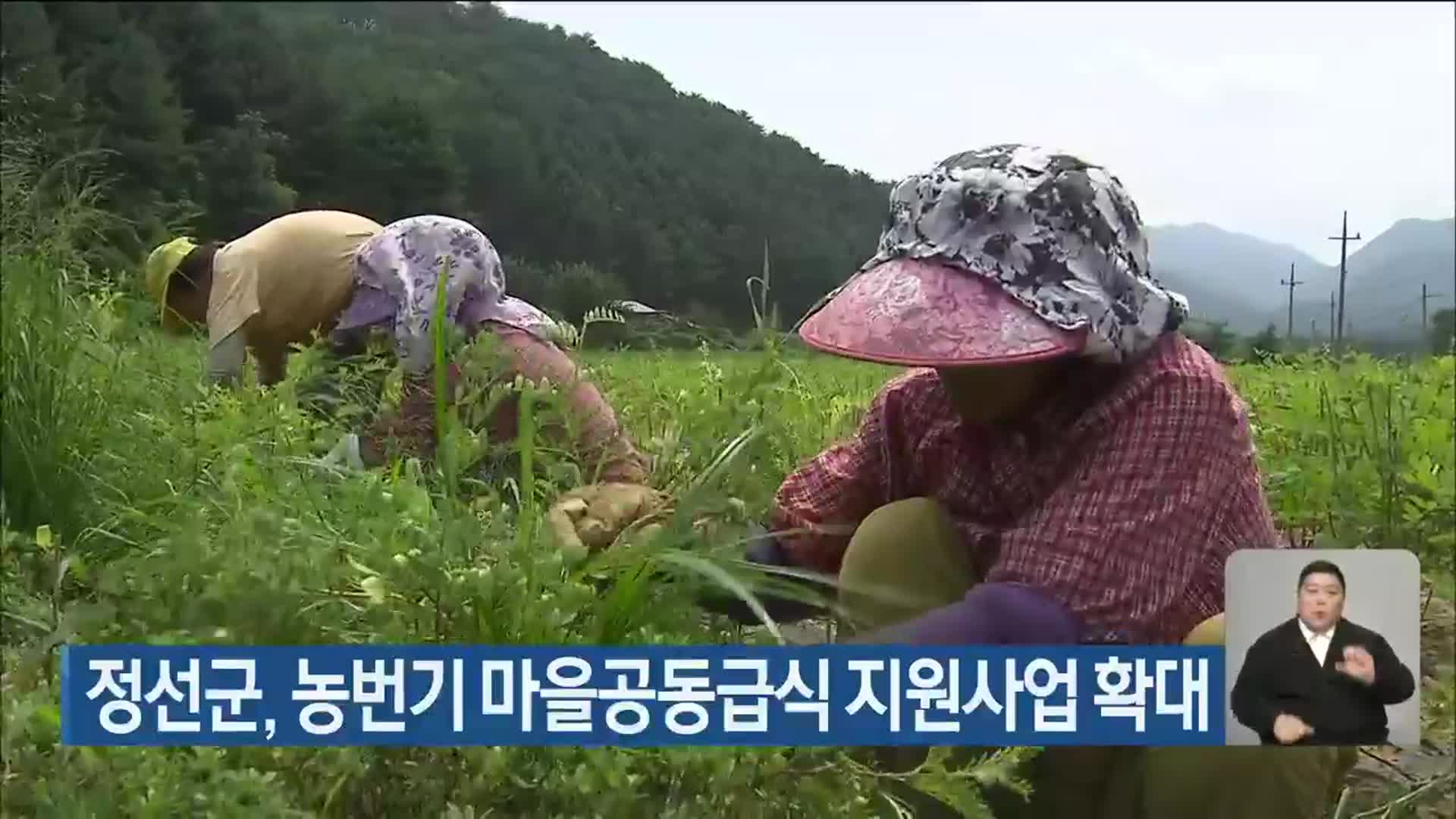 정선군, 농번기 마을공동급식 지원사업 확대