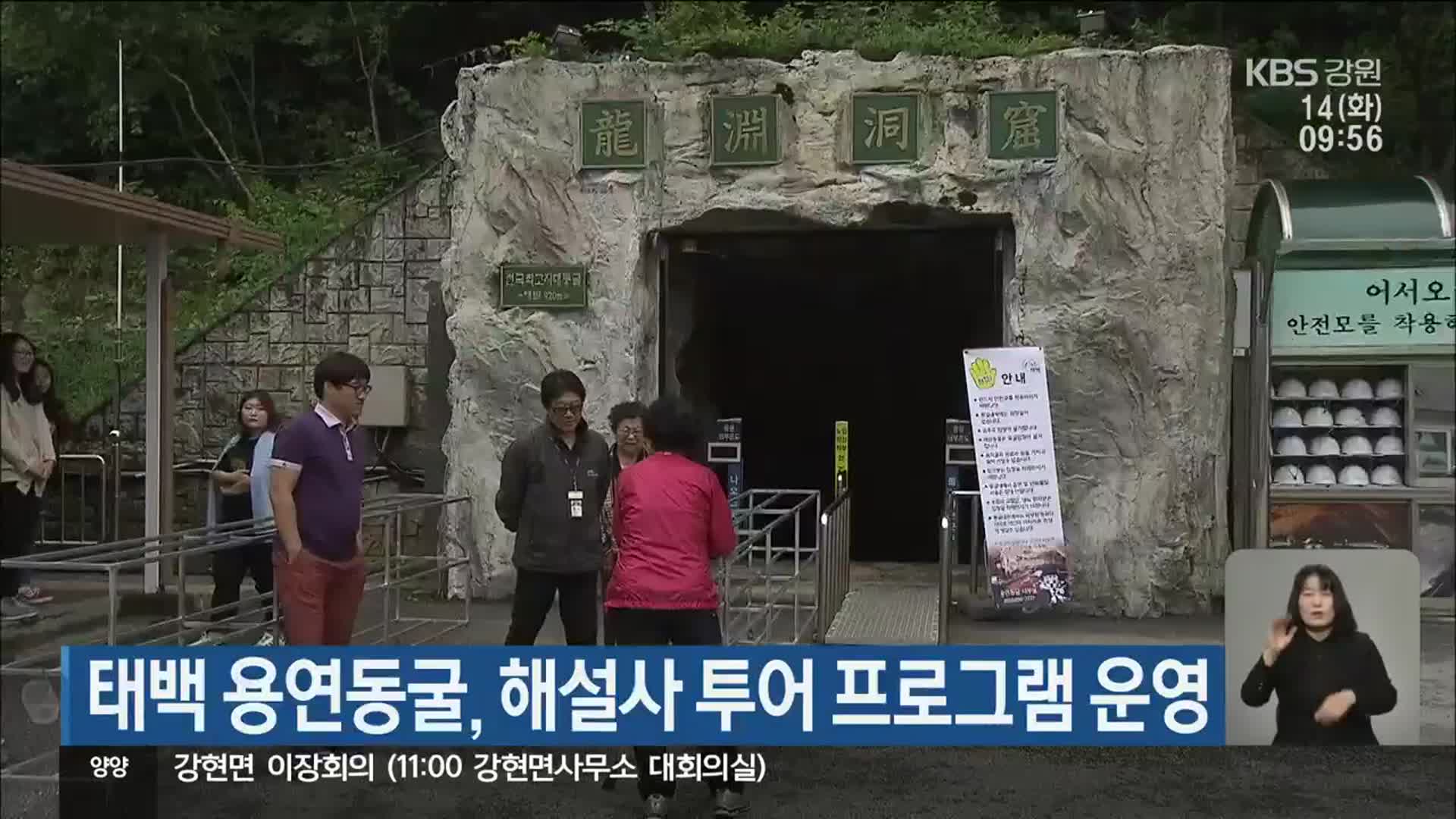 태백 용연동굴, 해설사 투어 프로그램 운영