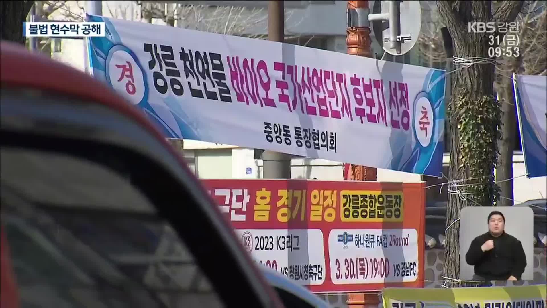 ‘현수막 공해’…강릉 도심, 관광지 곳곳 몸살