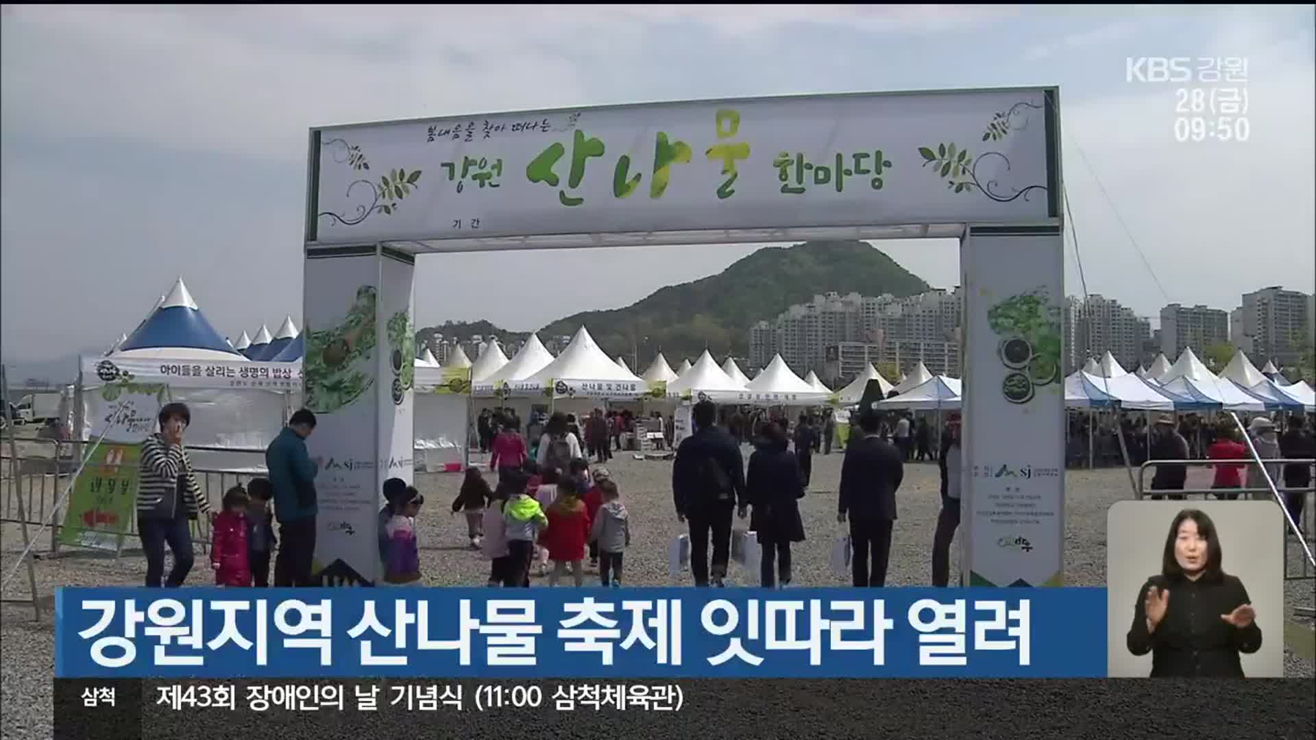 강원지역 산나물 축제 잇따라 열려