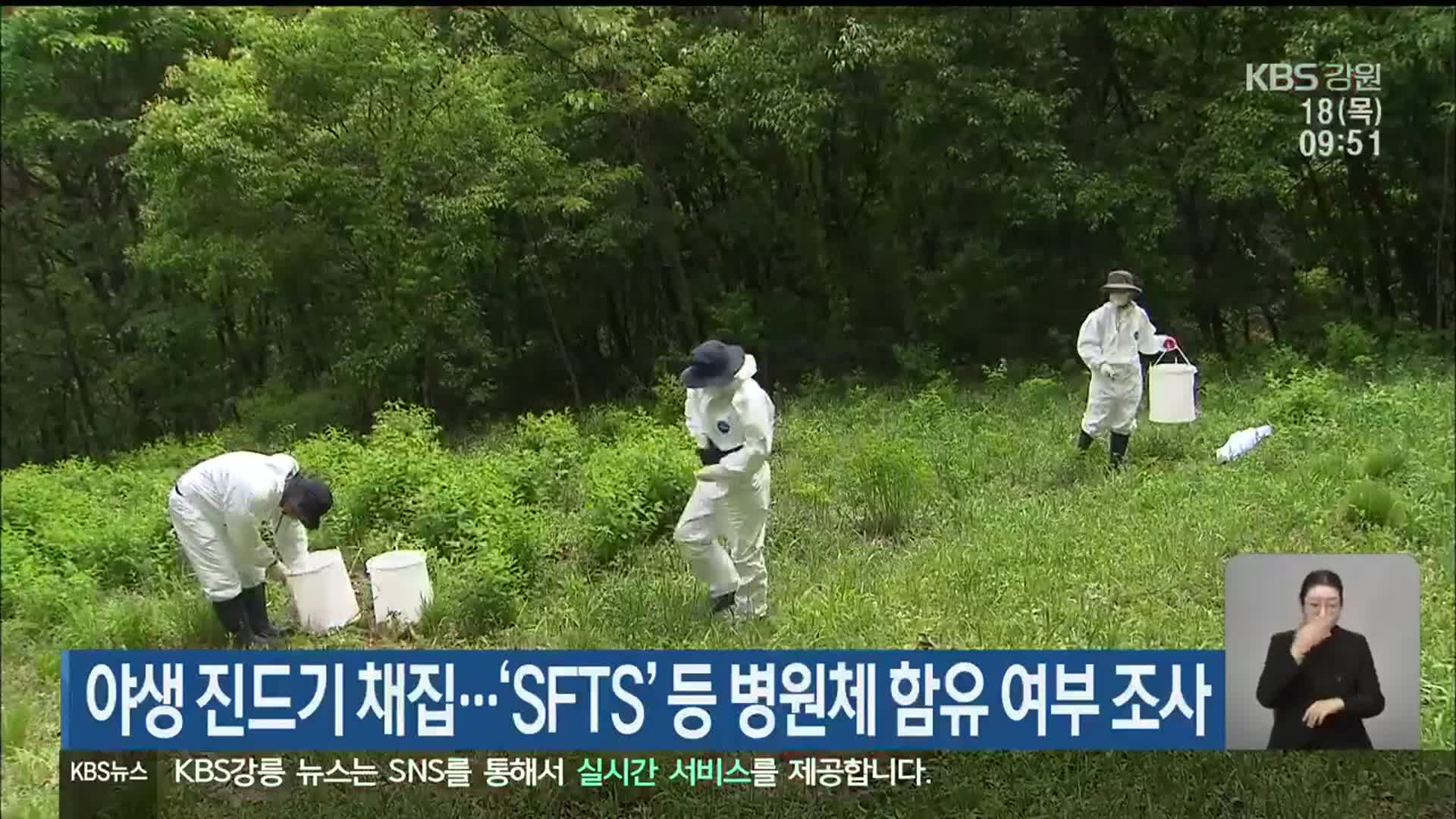 야생 진드기 채집…‘SFTS’ 등 병원체 함유 여부 조사