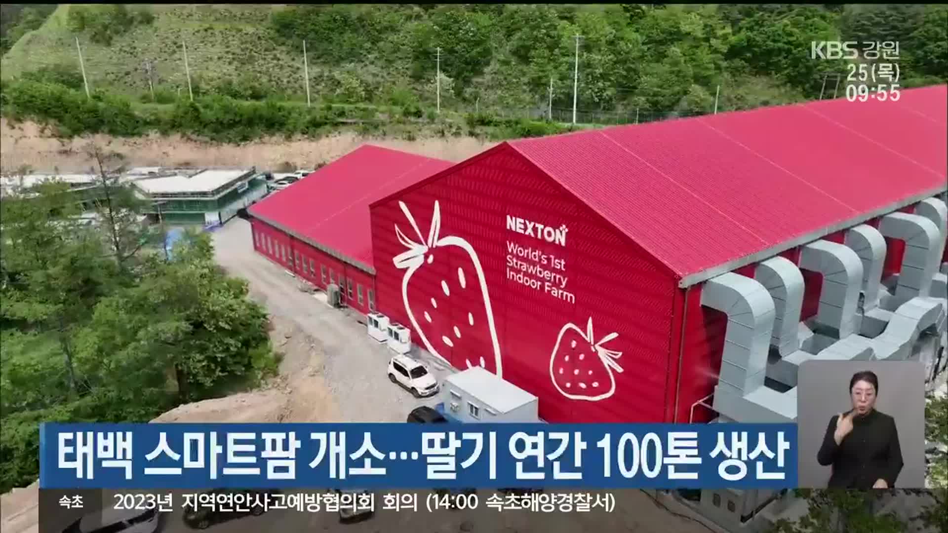 태백 스마트팜 개소…딸기 연간 100톤 생산