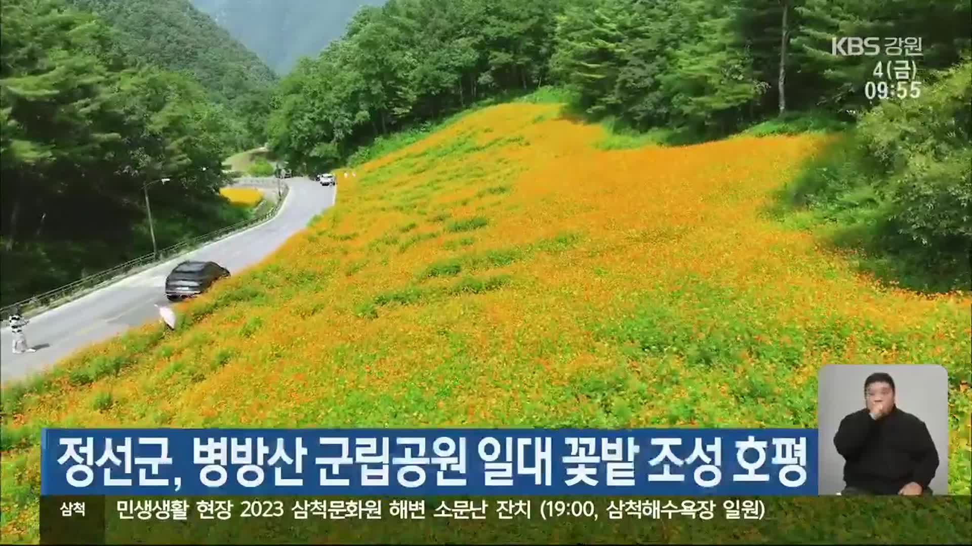 정선군, 병방산 군립공원 일대 꽃밭 조성 호평