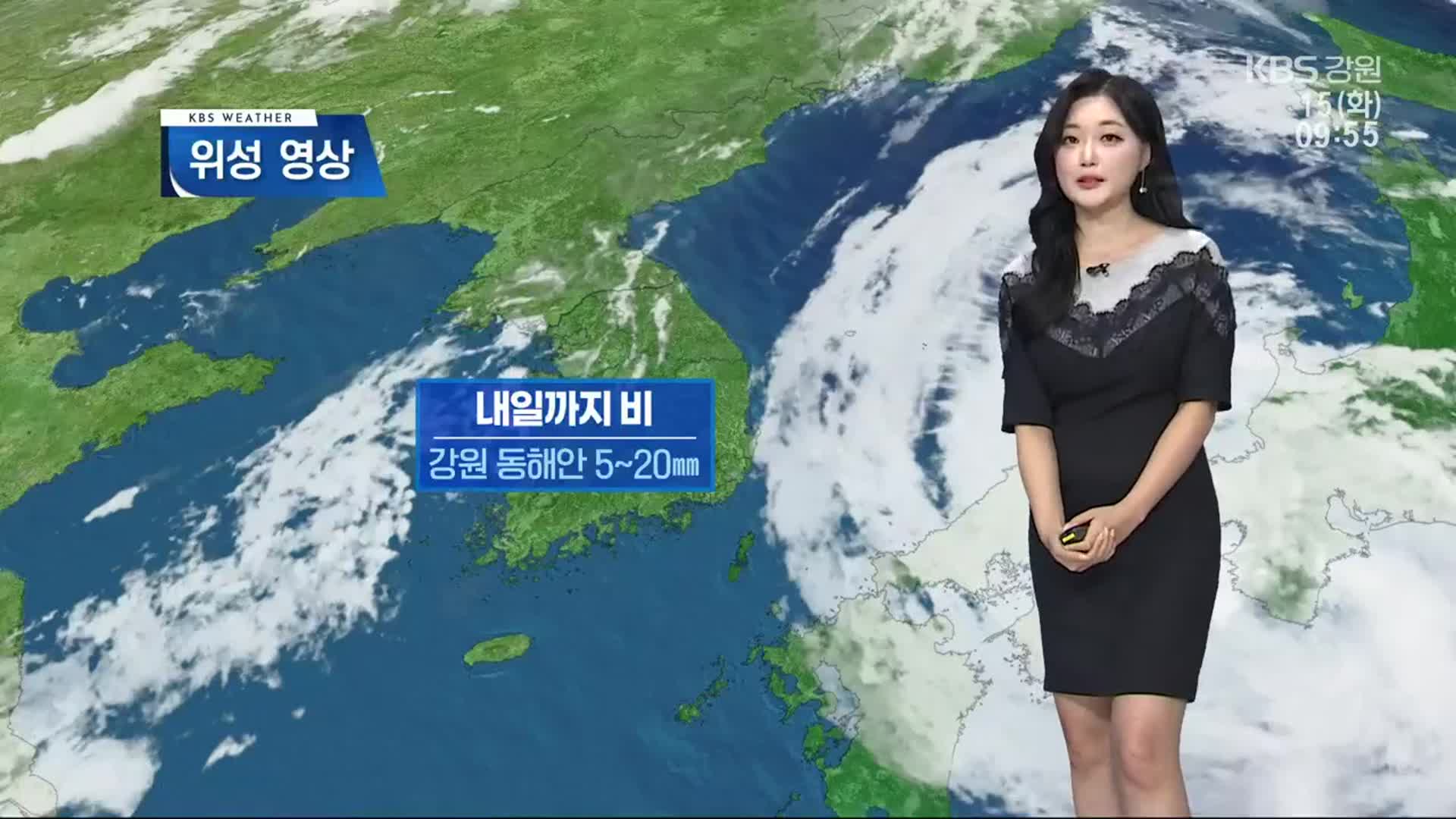 [날씨] 강원 동해안 내일까지 5~20mm 비…풍랑 주의보