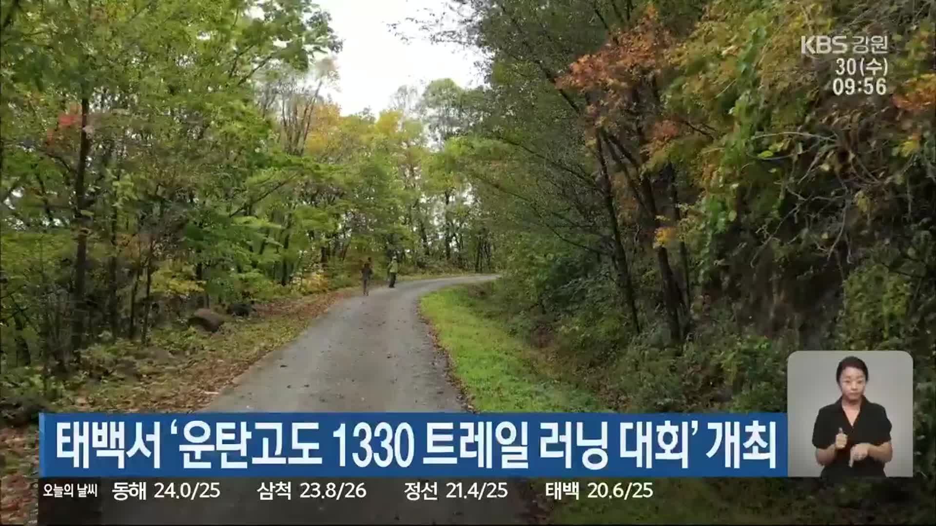 태백서 ‘운탄고도 1330 트레일 러닝 대회’ 개최