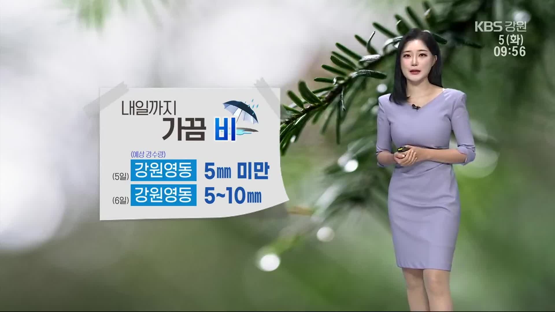 [날씨] 강원 영동 내일까지 가끔 비…산지 짙은 안개 주의