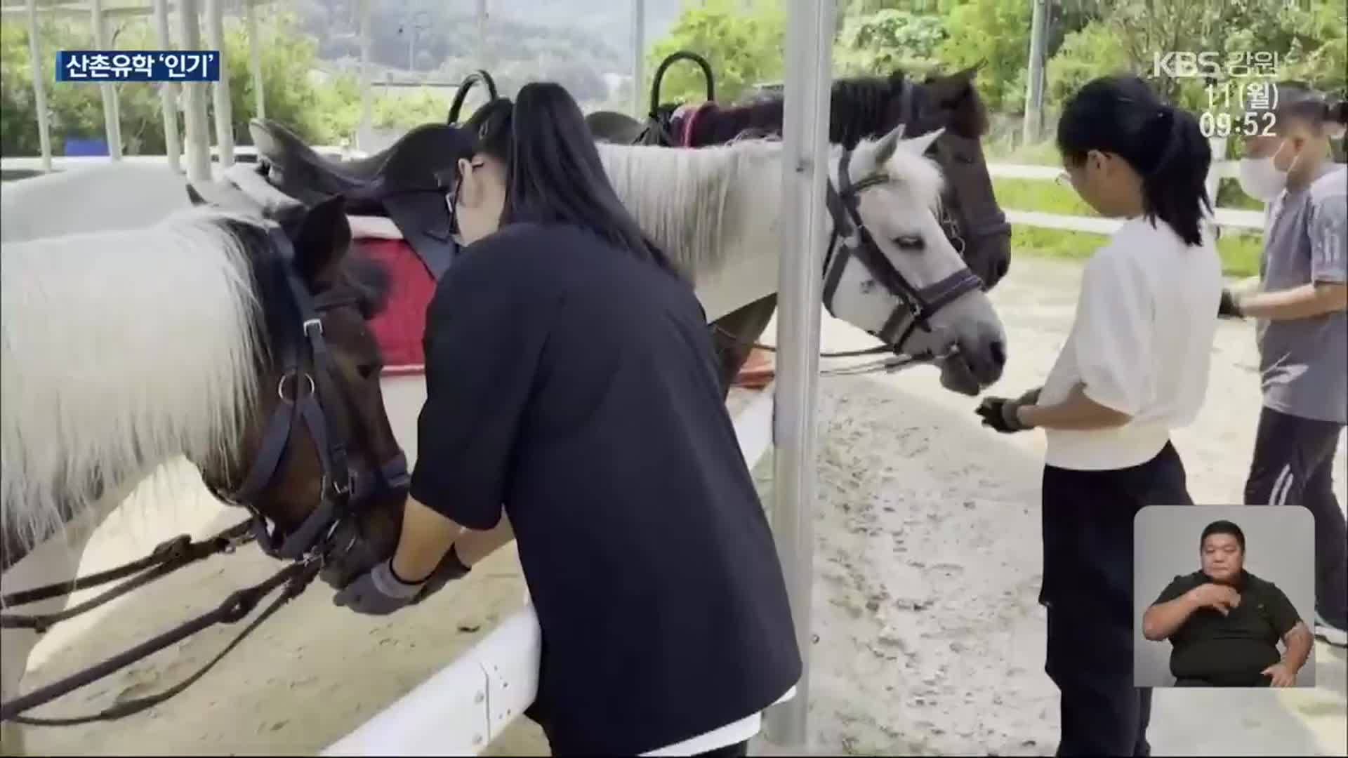 “한 학기 더 살고 싶어요”…산촌유학 ‘인기’