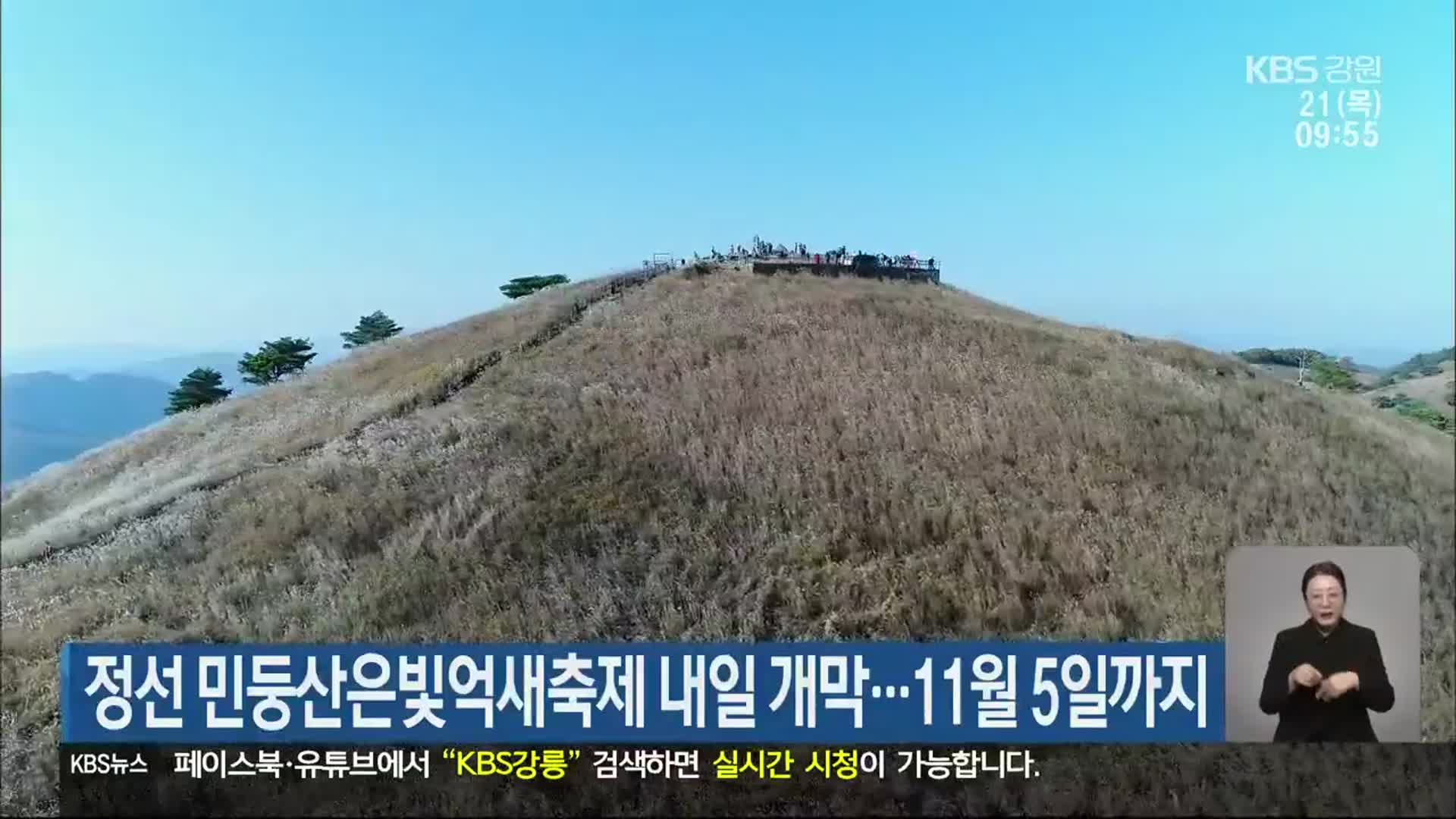 정선 민둥산은빛억새축제 내일 개막…11월 5일까지