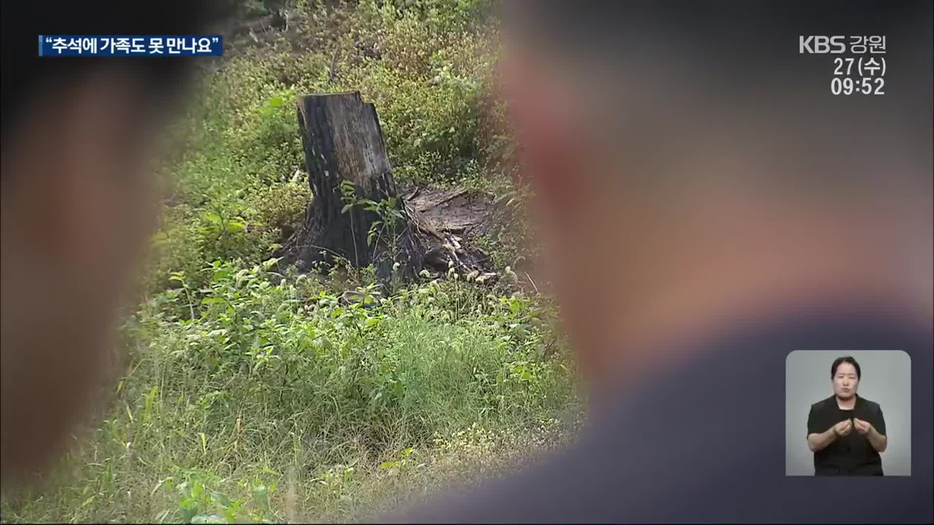 “추석에 가족도 못 만나요”…산불 이재민 고통 여전