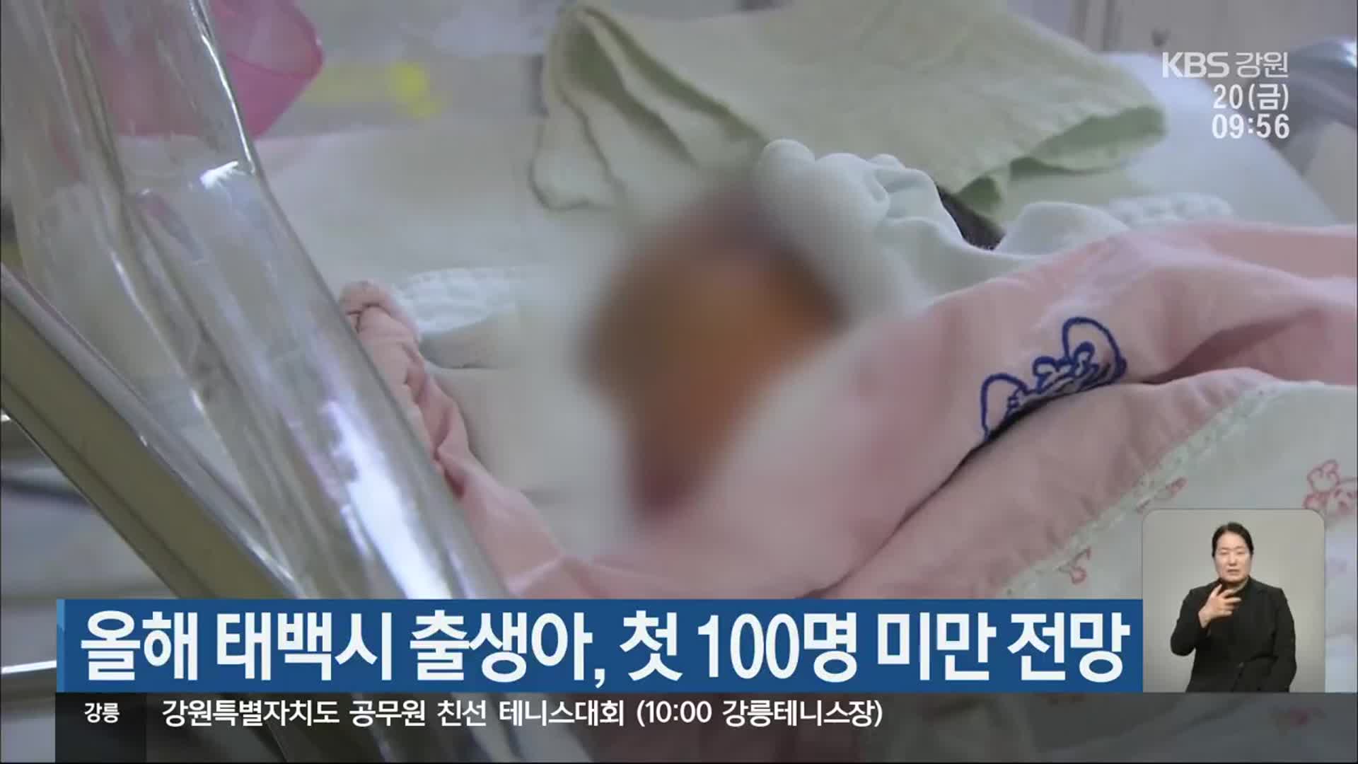 올해 태백시 출생아, 첫 100명 미만 전망