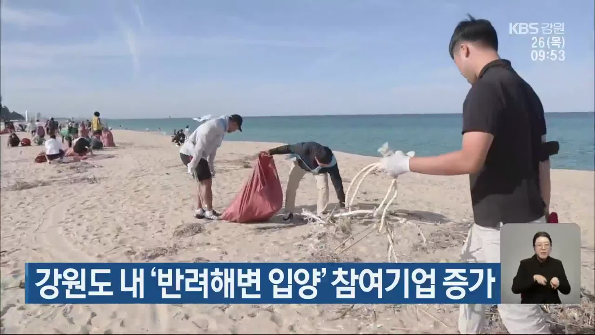 강원도 내 ‘반려해변 입양’ 참여기업 증가