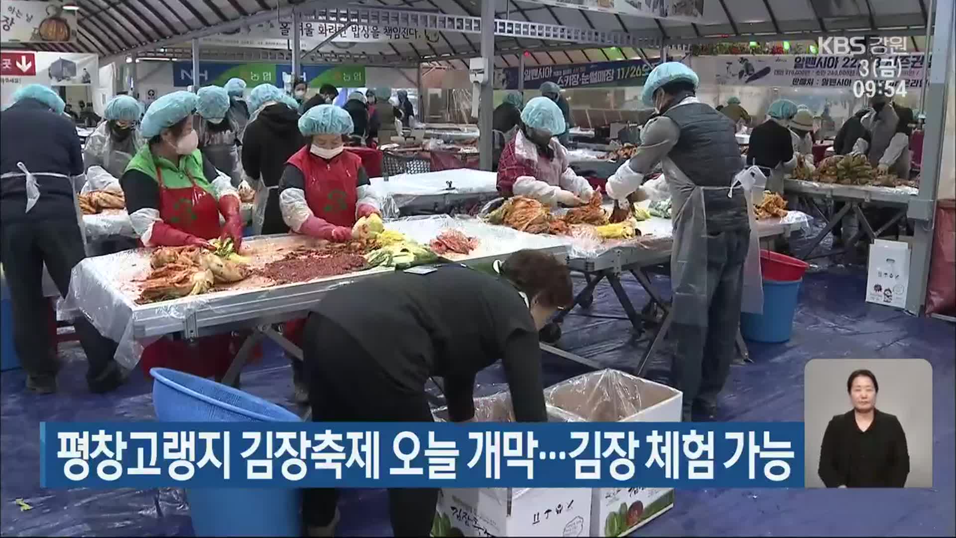 평창고랭지 김장축제 오늘 개막…김장 체험 가능