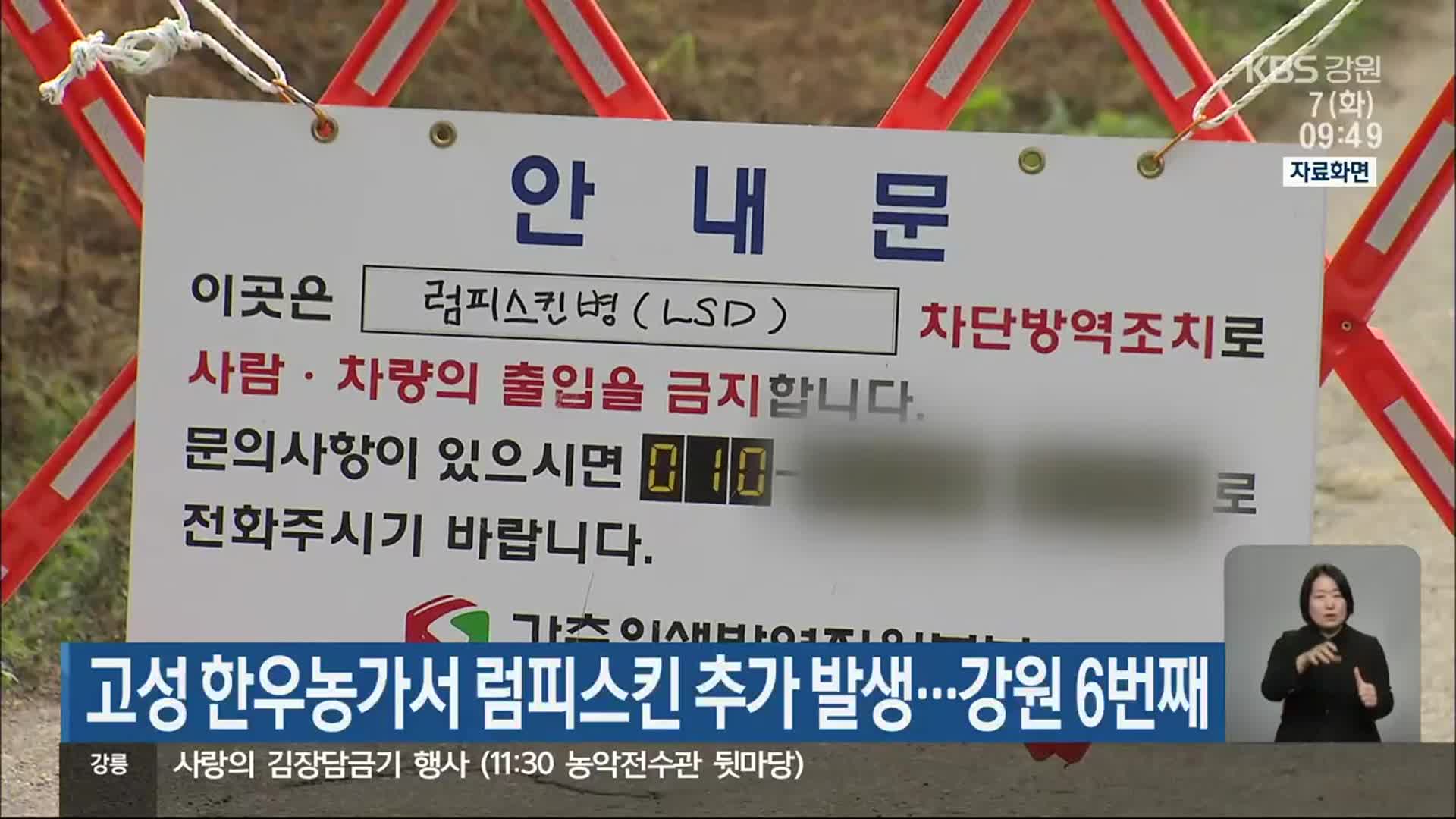 고성서 한우농가서 럼피스킨 추가 발생…강원 6번째