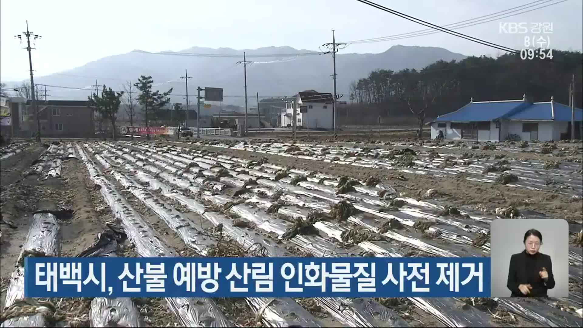 태백시, 산불 예방 산림 인화물질 사전 제거