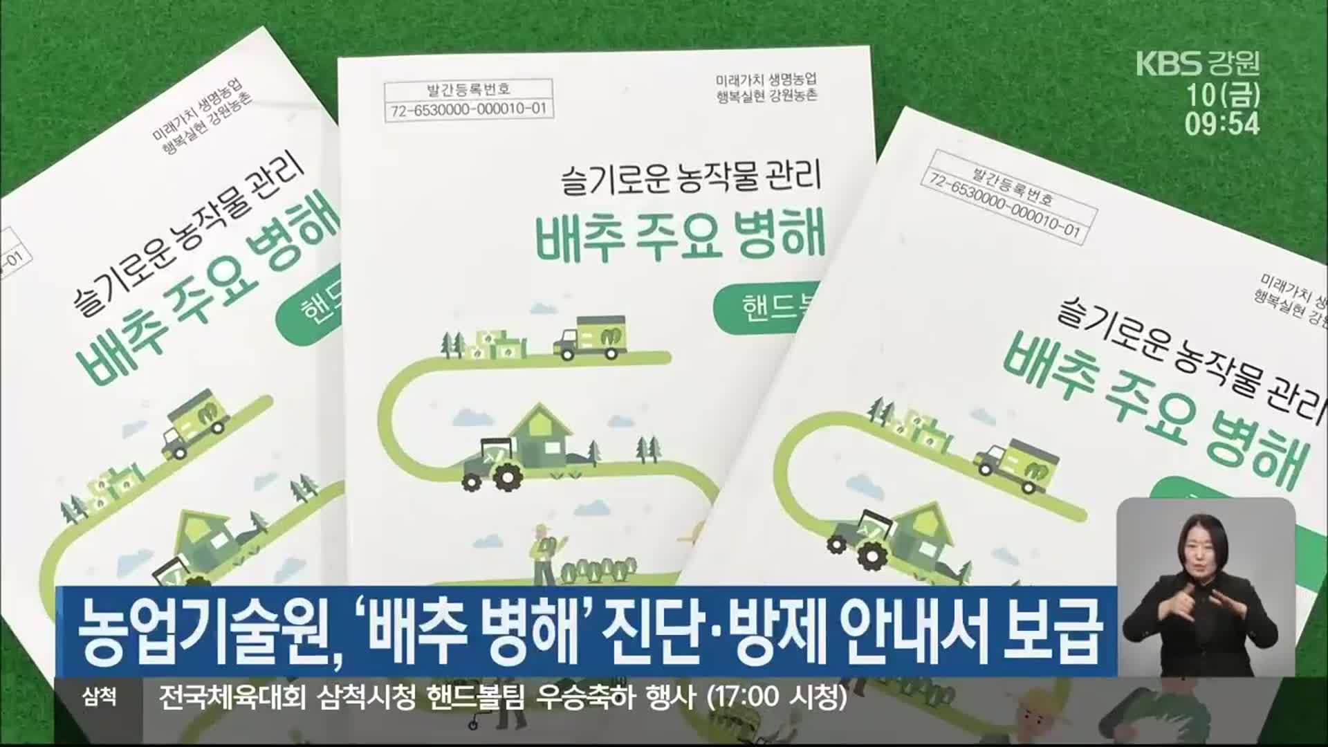 농업기술원, ‘배추 병해’ 진단·방제 안내서 보급