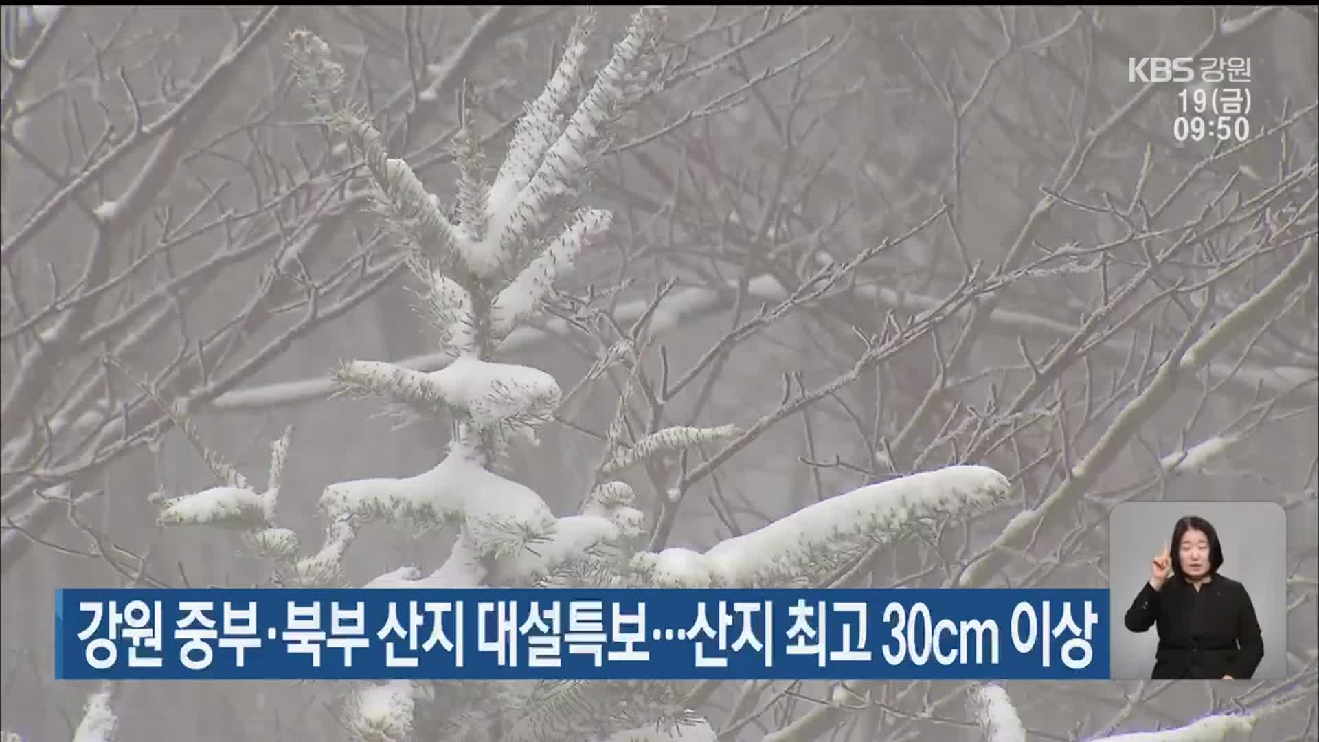 강원 중부·북부 산지 대설특보…산지 최고 30cm 이상