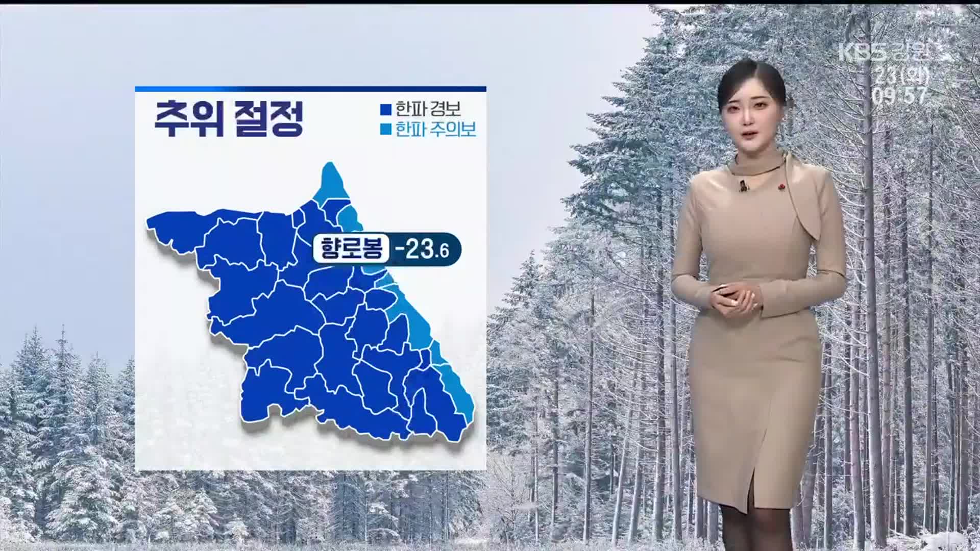 [날씨] 강원 전역 한파특보…향로봉 -23.6도·강릉 -10.9도