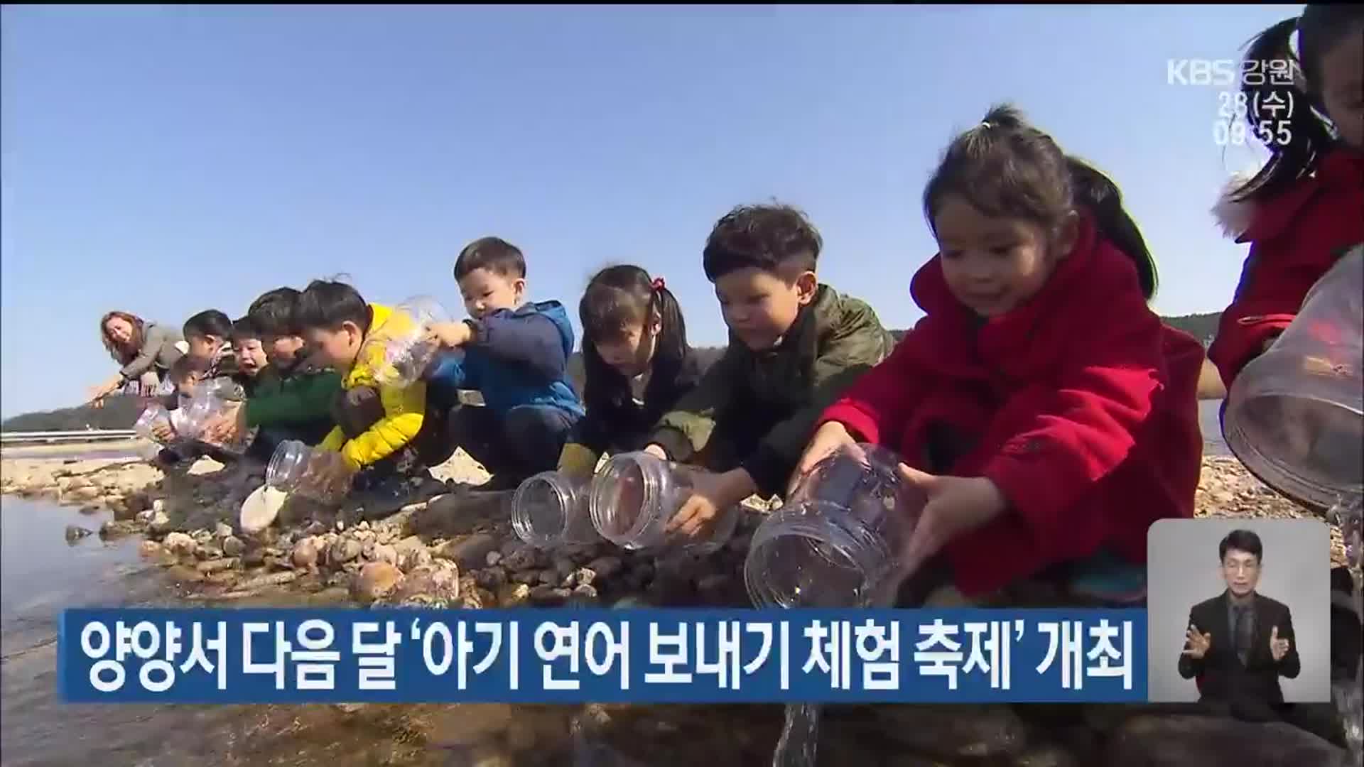 양양서 다음 달 ‘아기 연어 보내기 체험 축제’ 개최