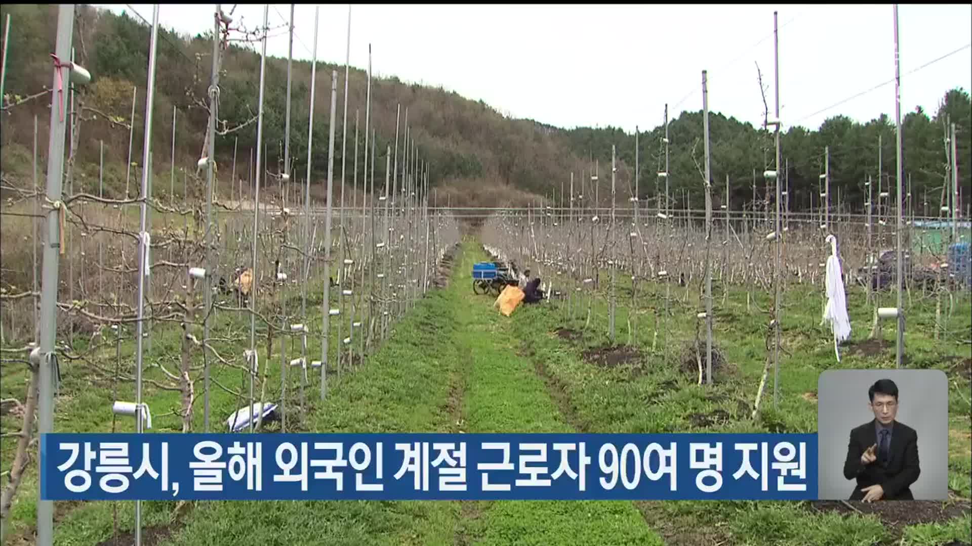 강릉시, 올해 외국인 계절 근로자 90여 명 지원