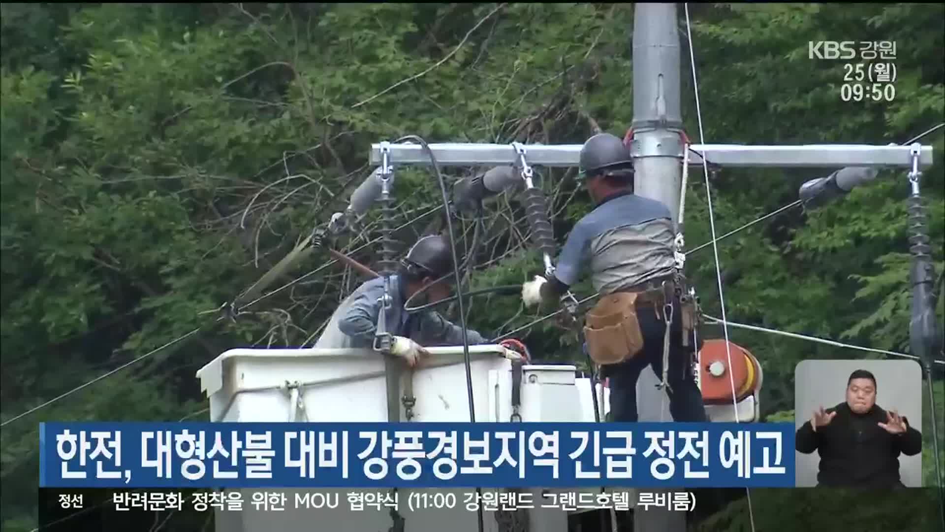 한전, 대형산불 대비 강풍경보 지역 긴급 정전 예고