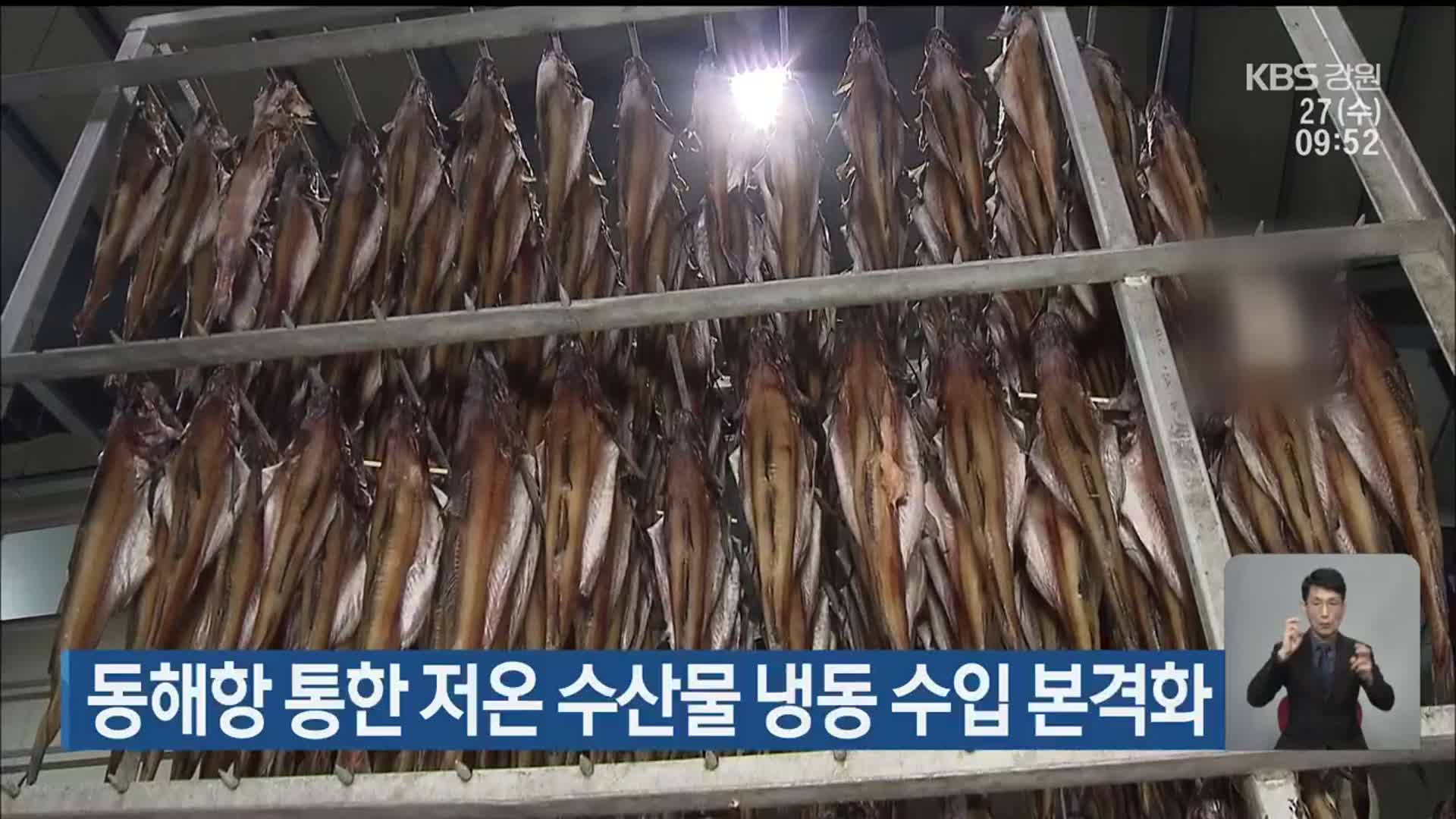 동해항 통한 저온 수산물 냉동 수입 본격화