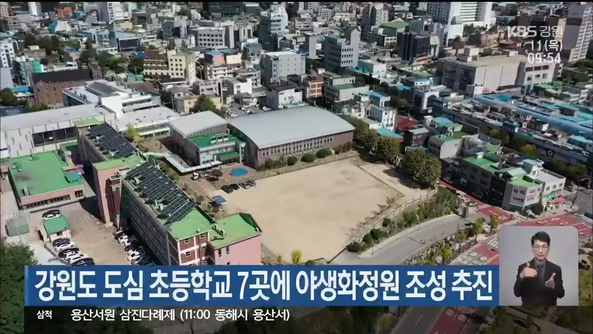 강원도 도심 초등학교 7곳에 야생화정원 조성 추진