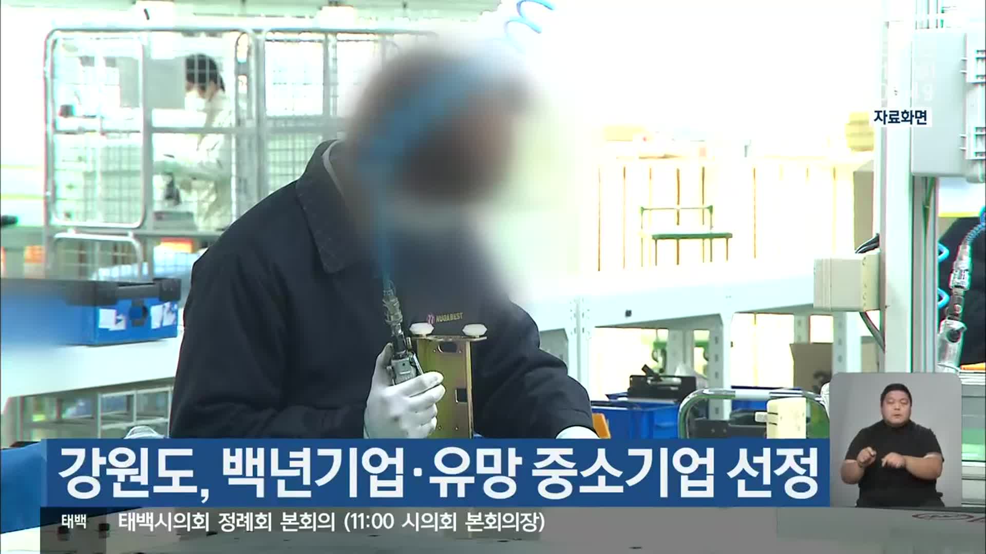 강원도, 백년기업·유망 중소기업 선정