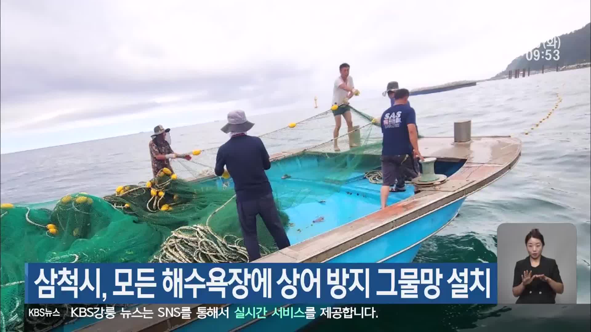 삼척시, 모든 해수욕장에 상어 방지 그물망 설치