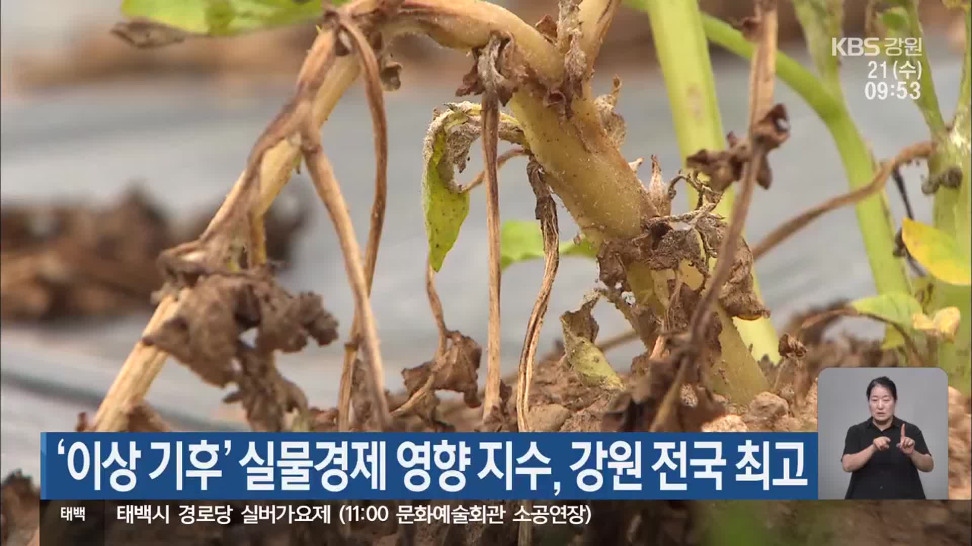 ‘이상 기후’ 실물경제 영향 지수, 강원 전국 최고