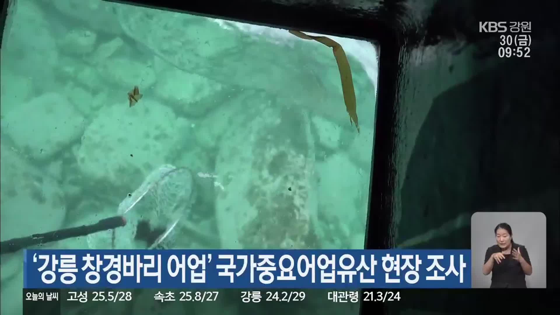 ‘강릉 창경바리 어업’ 국가중요어업유산 현장 조사