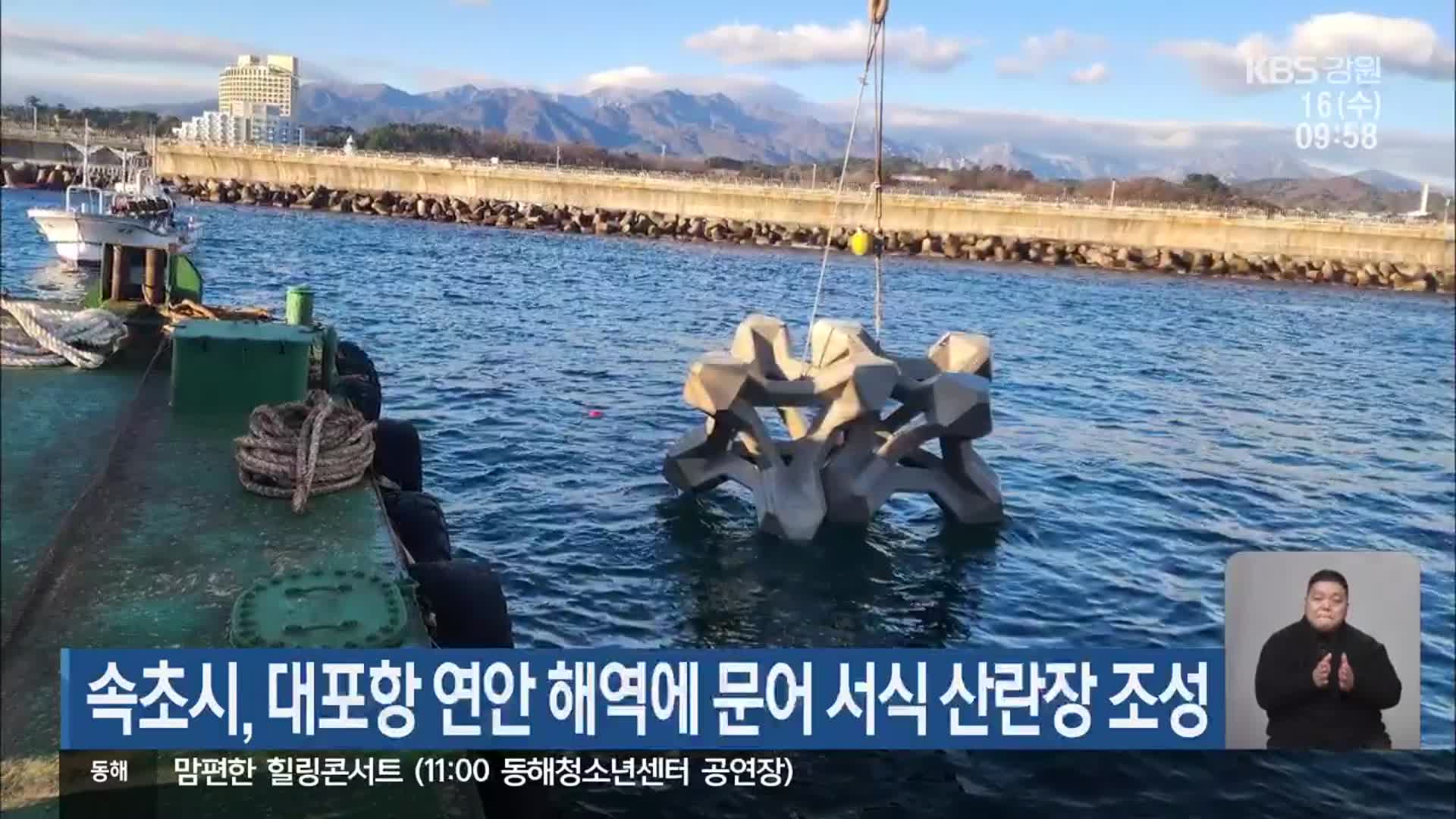 속초시, 대포항 연안 해역에 문어 서식 산란장 조성