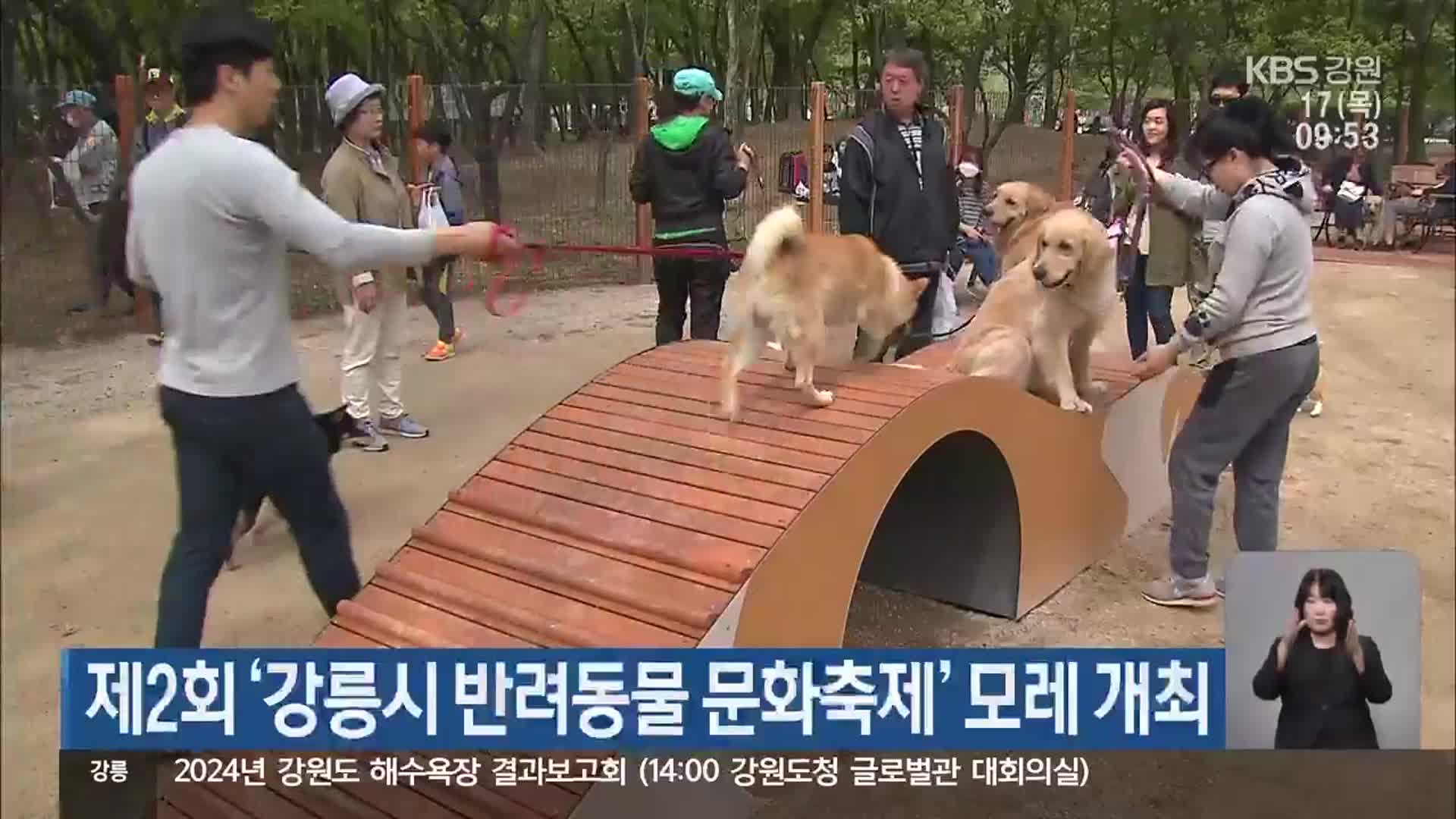 제2회 ‘강릉시 반려동물 문화축제’ 모레 개최