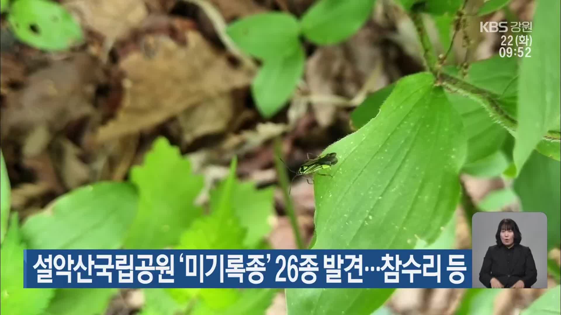 설악산국립공원 ‘미기록종’ 26종 발견…참수리 등