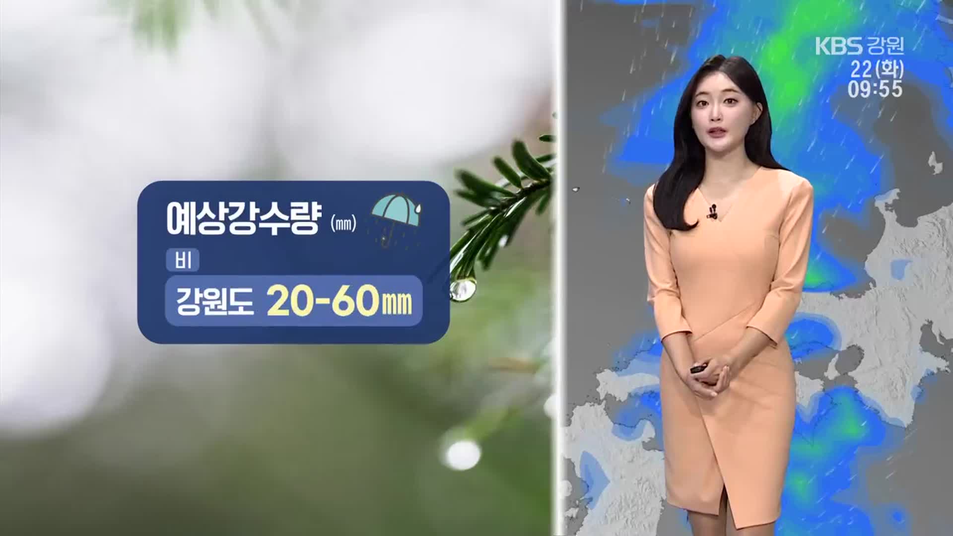 [날씨] 강원 내일까지 20~60mm 비…천둥·번개·돌풍 동반