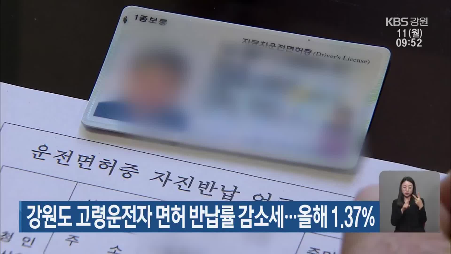 강원도 고령운전자 면허 반납률 감소세…올해 1.37%