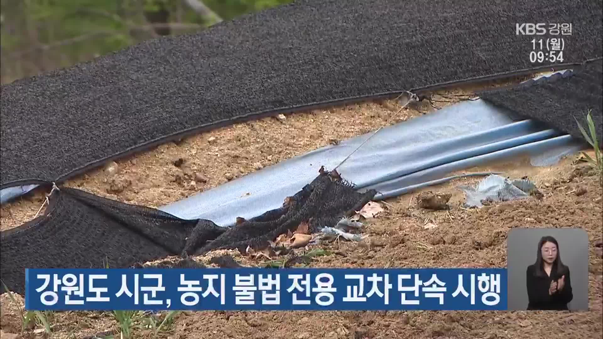 강원도 시군, 농지 불법 전용 교차 단속 시행