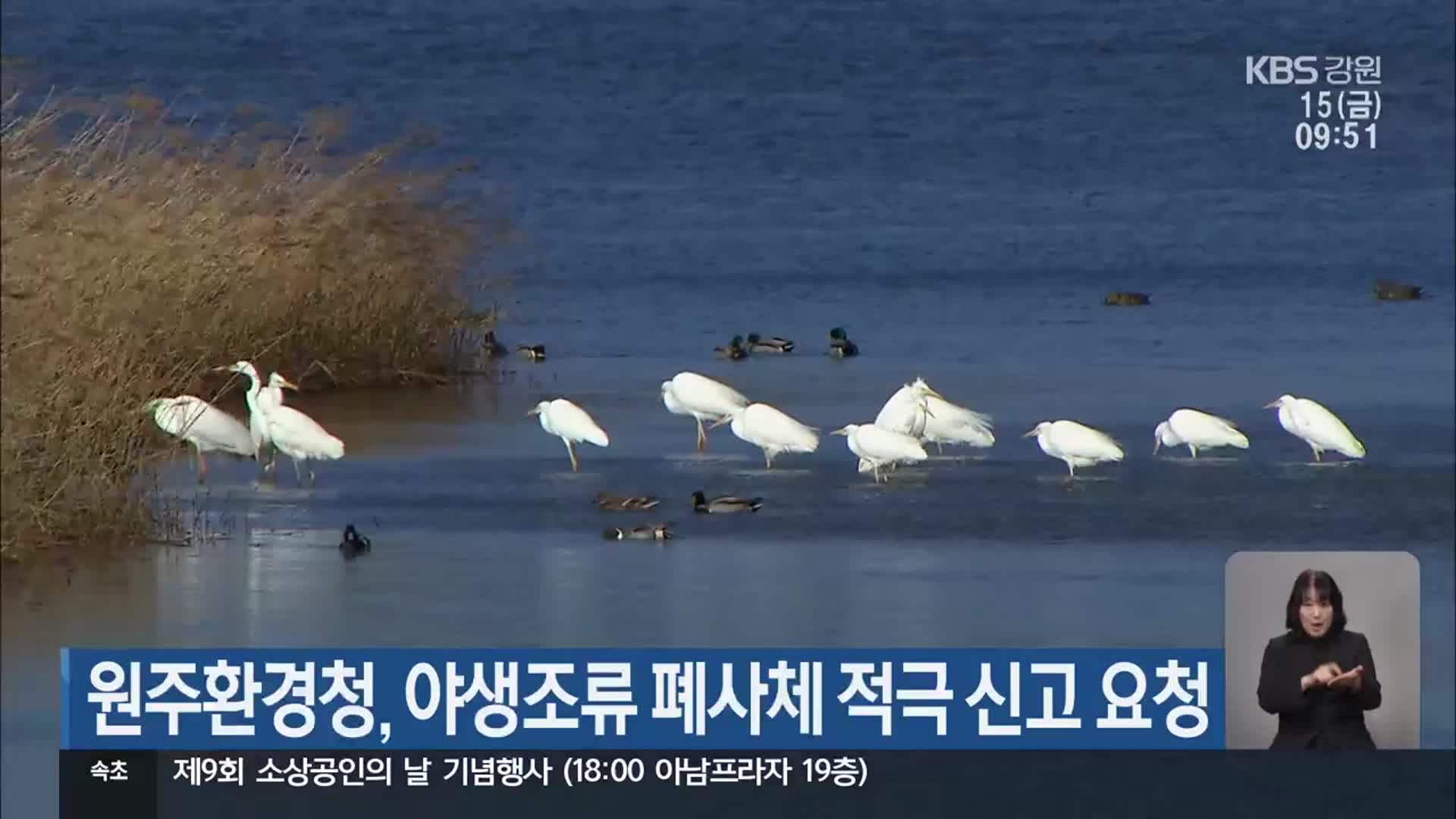 원주환경청, 야생조류 폐사체 적극 신고 요청