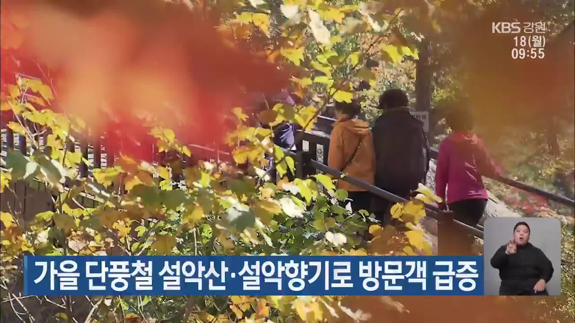 가을 단풍철 설악산·설악향기로 방문객 급증