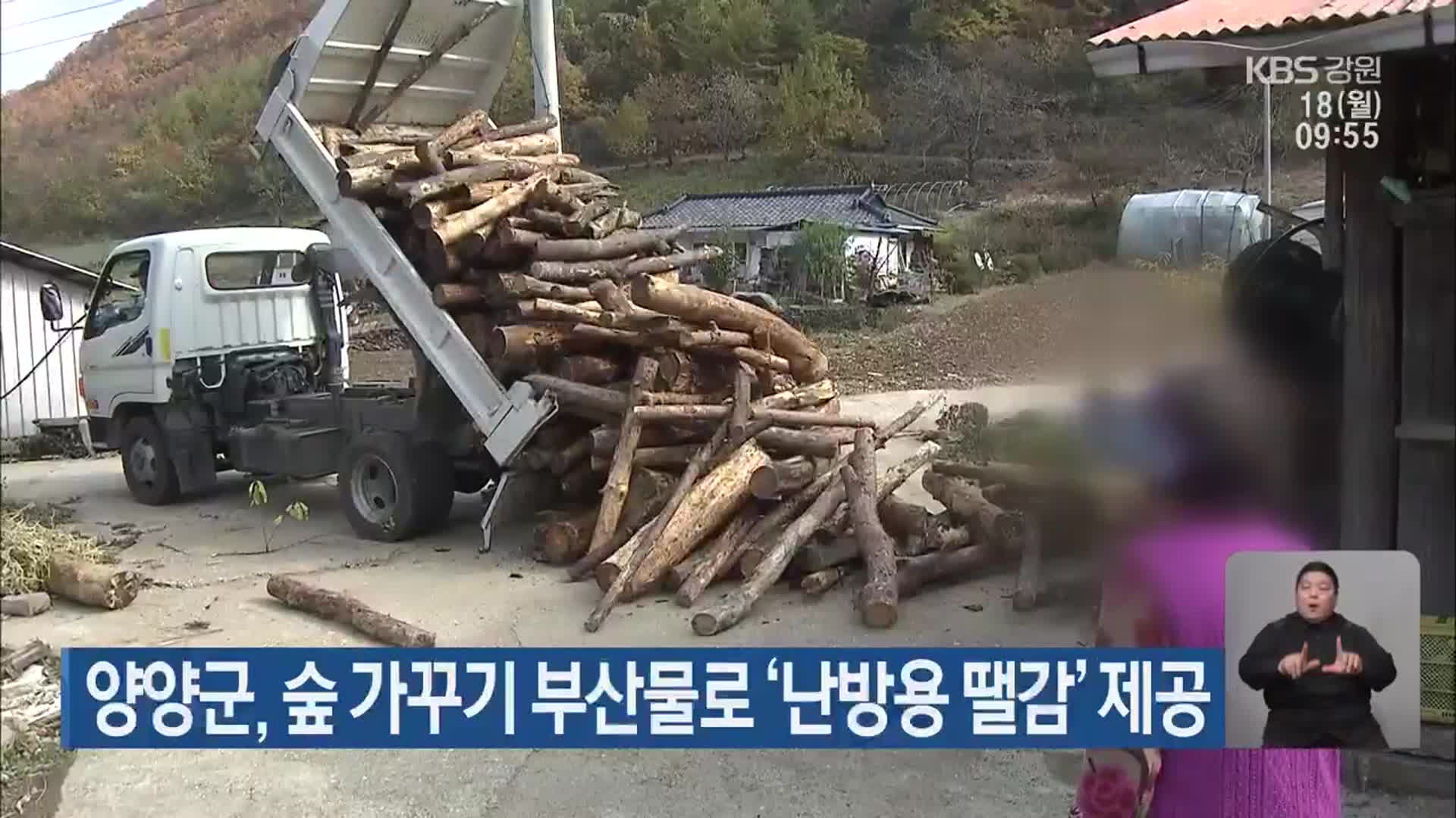 양양군, 숲 가꾸기 부산물로 ‘난방용 땔감’ 제공