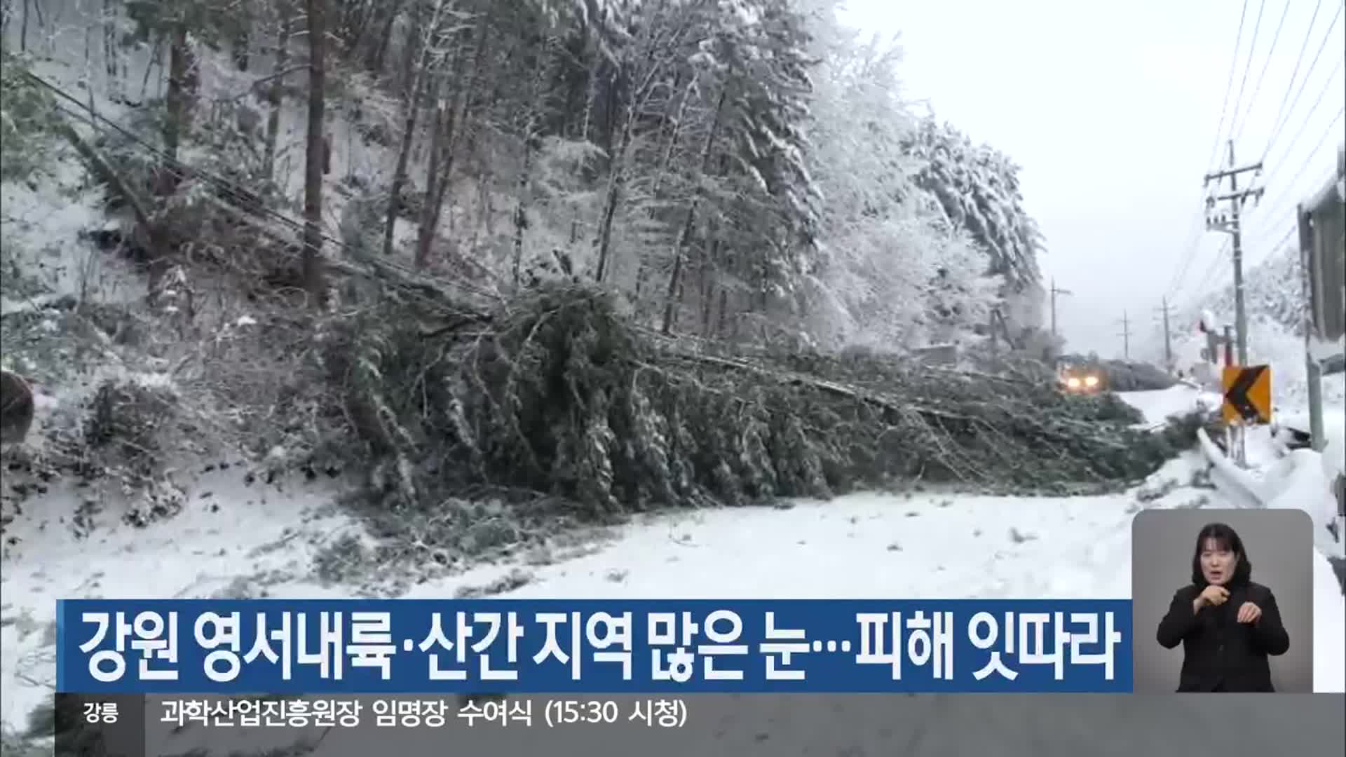 강원 영서내륙·산간 지역 많은 눈…피해 잇따라