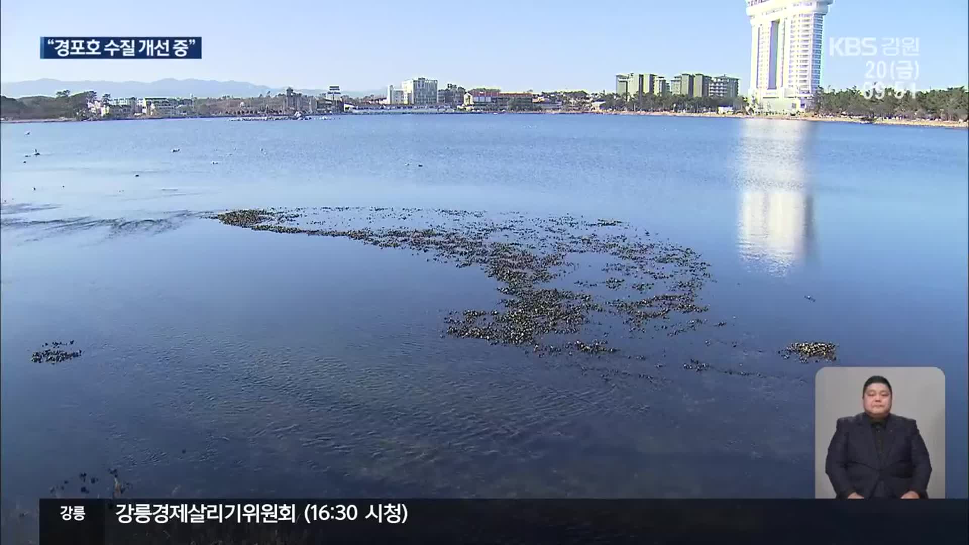 “경포호 수질 크게 문제 없어”…분수 시설 논란 지속