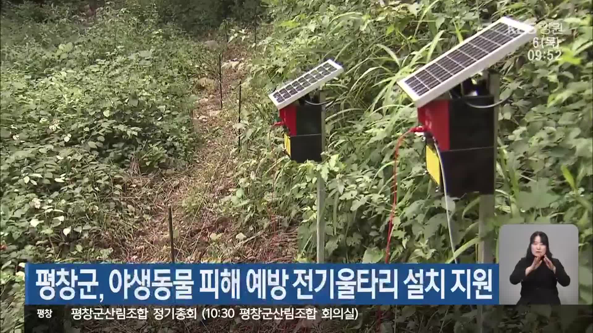 평창군, 야생동물 피해 예방 전기울타리 설치 지원