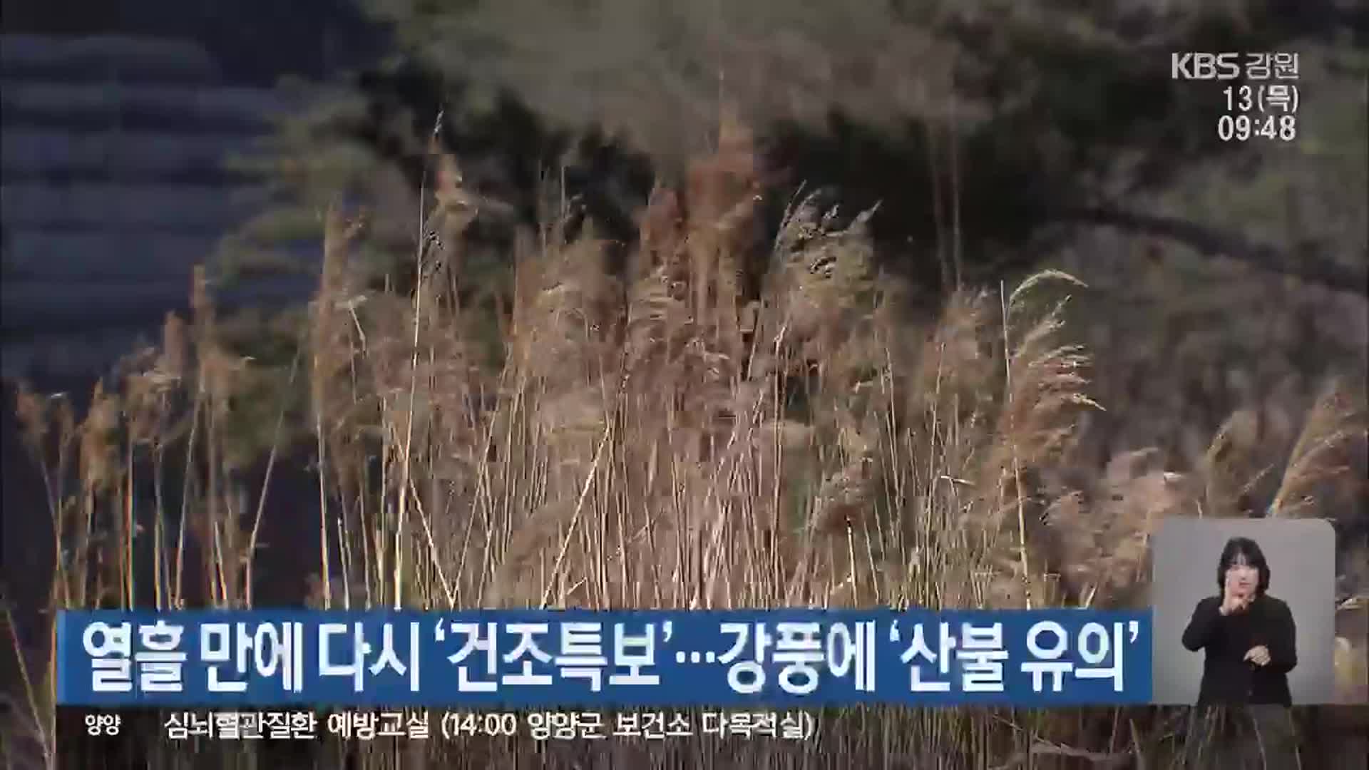 강원 영동 열흘 만에 다시 ‘건조특보’…강풍에 ‘산불 유의’