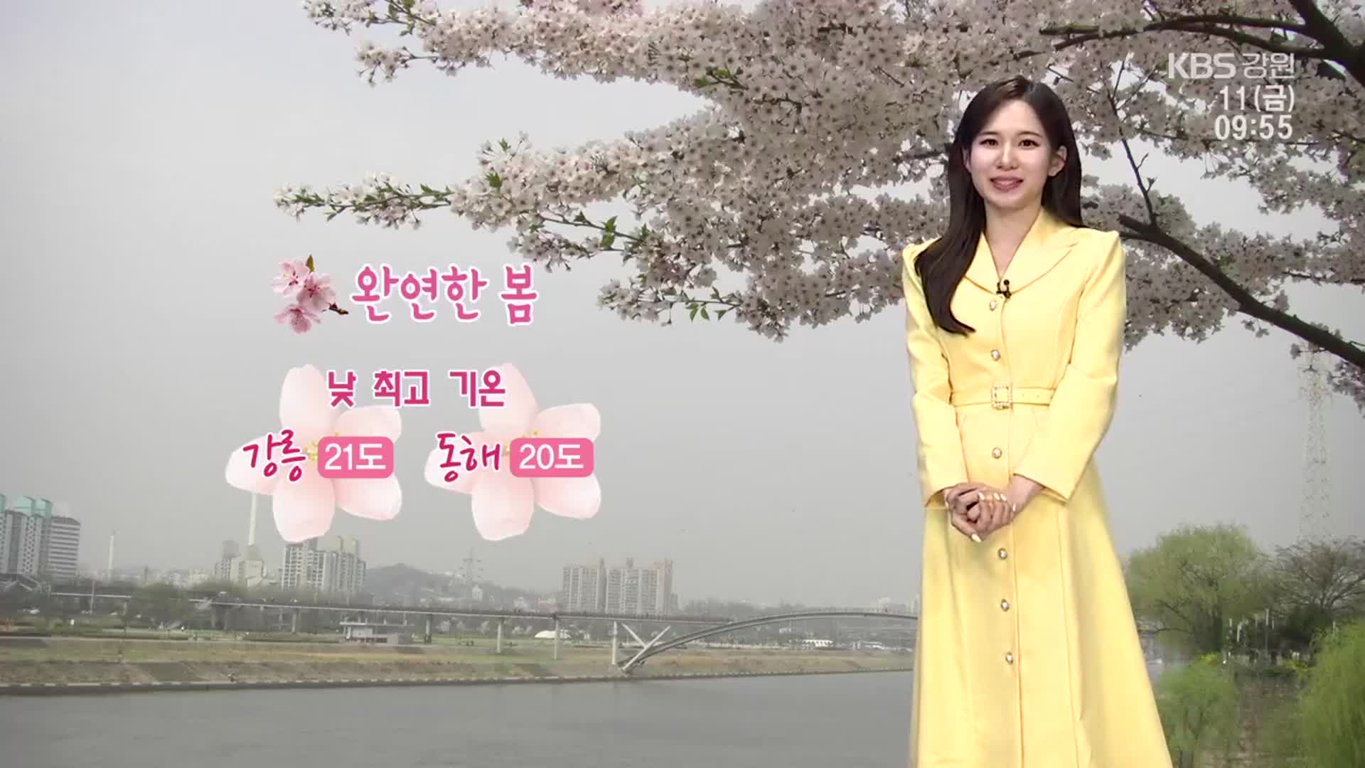 [날씨] 강원 완연한 봄, 낮 최고 21도…주말 돌풍·벼락 동반 강한 비