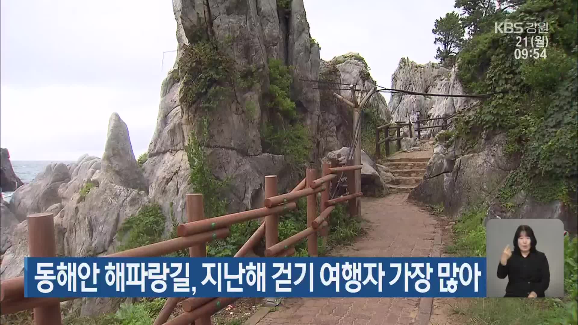동해안 해파랑길, 지난해 걷기 여행자 가장 많아