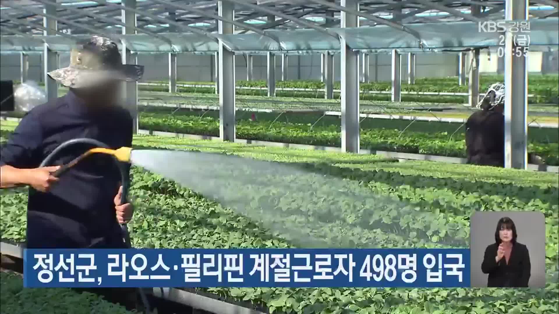 정선군, 라오스·필리핀 계절근로자 498명 입국