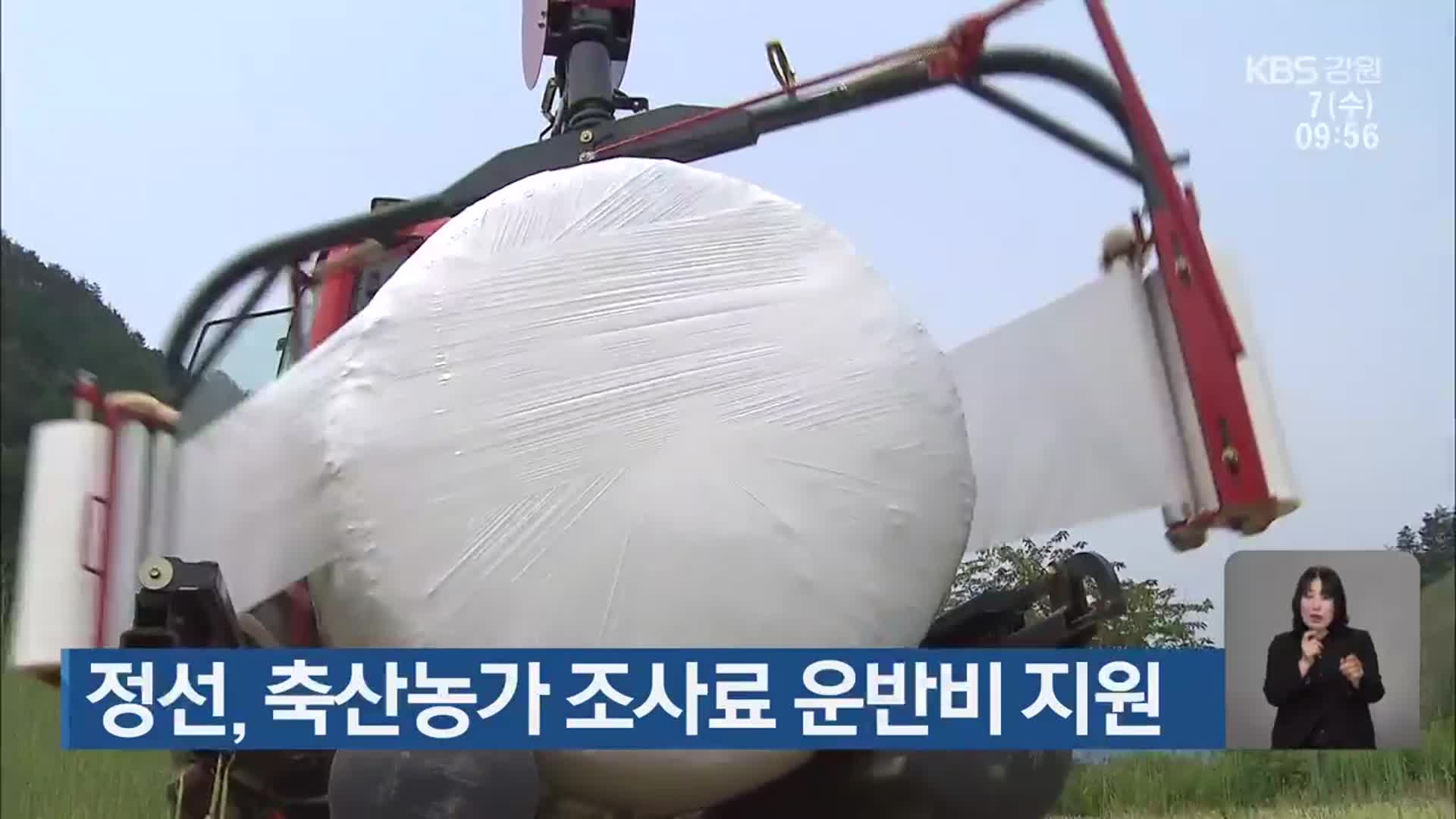 정선, 축산농가 조사료 운반비 지원