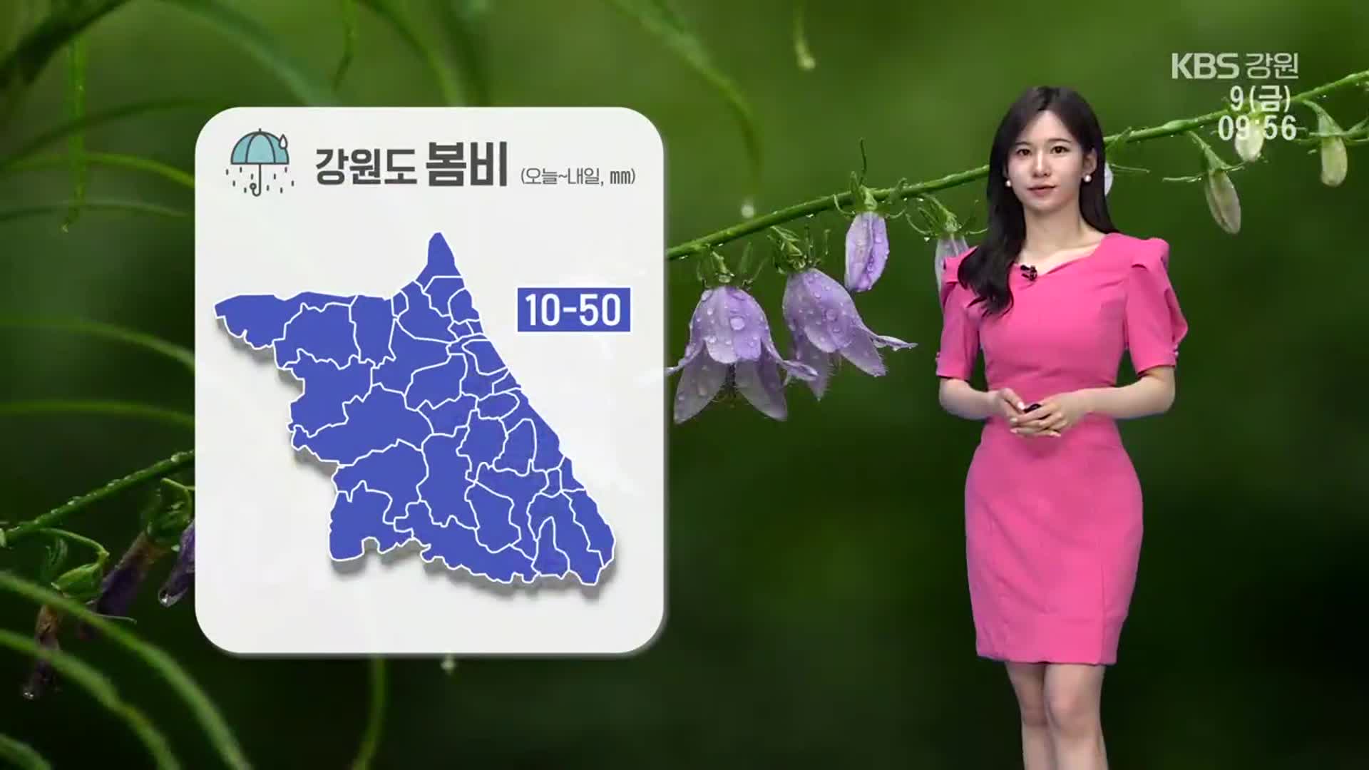 [날씨] 강원 내일까지 10~50mm 봄비…강풍 주의!