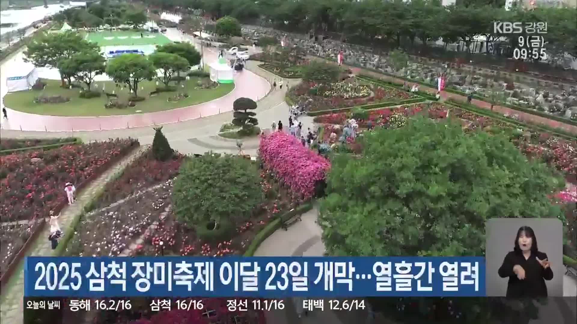2025 삼척 장미축제 이달 23일 개막…열흘간 열려
